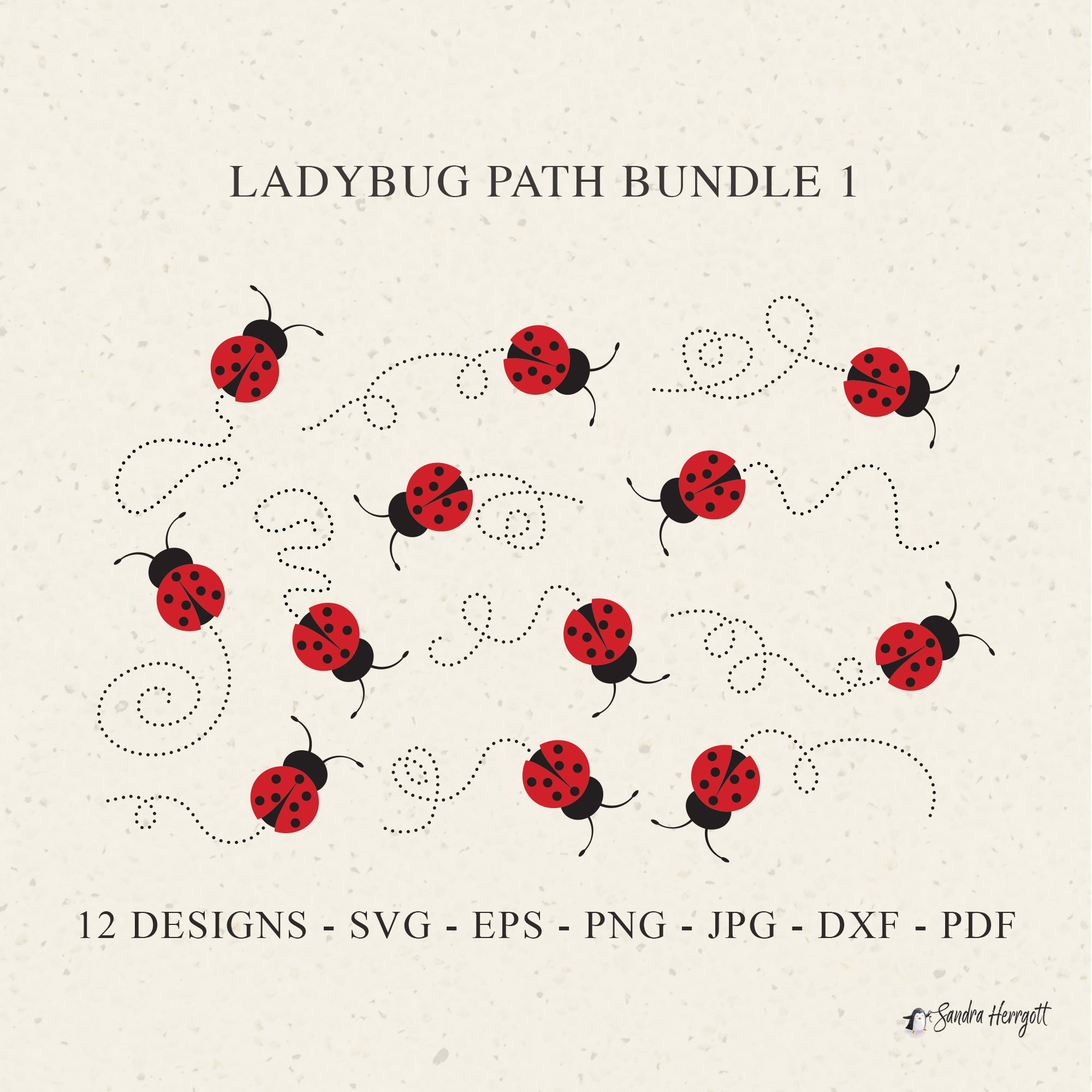 Ladybug-Path-B1-ETSY.jpg