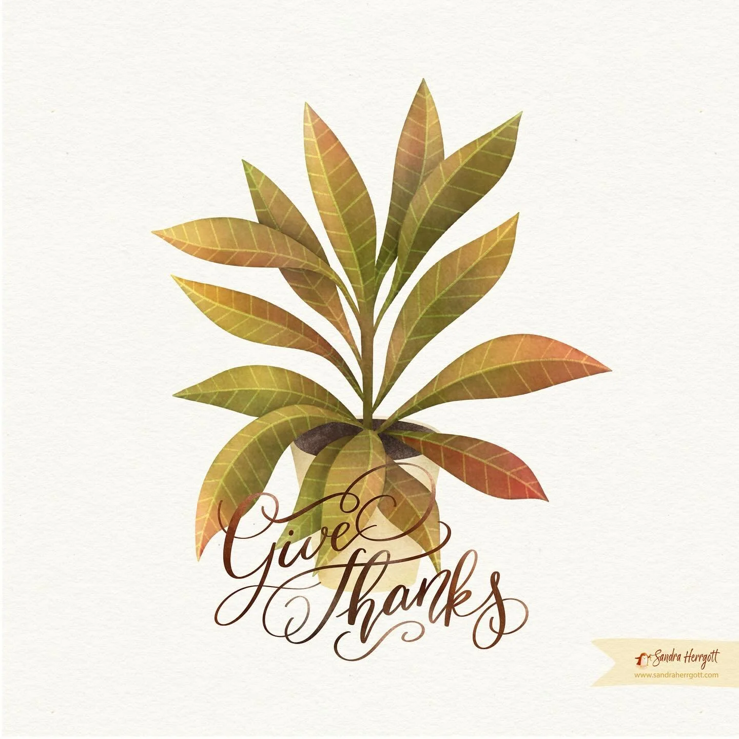 Croton Plant for #floralsandpraiseforhisglory challenge week  2 prompt for October.
.
Swipe to see some close ups.
.
Psalm 107:1
“Give thanks to the LORD, for he is good; his love endures forever”.
.
It’s so easy to complain and so