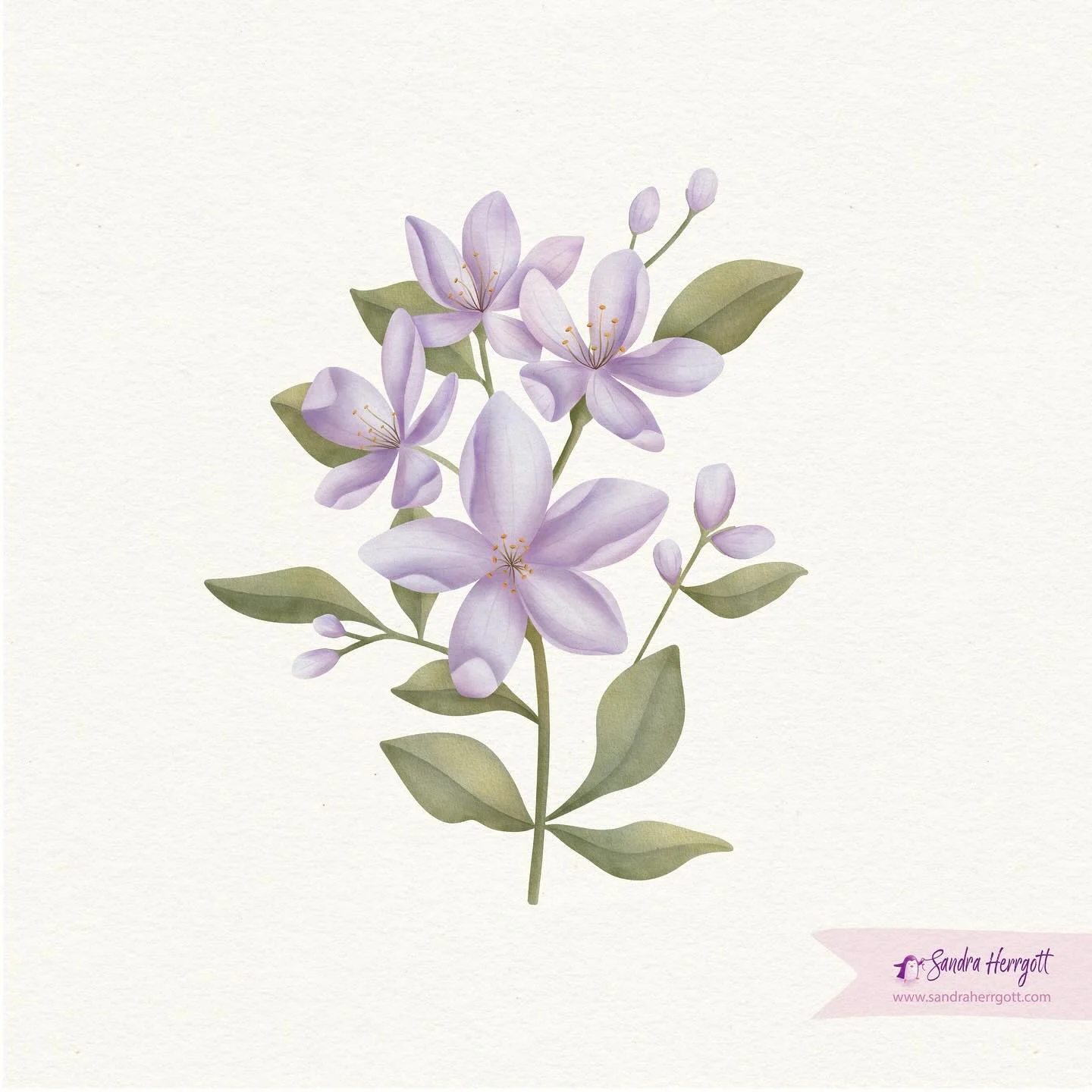 Some flowers for the weekend.
.
.
.
Artwork painted digitally in procreate with a bunch of my own created and bought watercolour and other brushes.
.
.
.
.
.
.
.
.
.
.
 #whimsyillos #illustration_best  #illustrationday #watercolorillustration #waterc