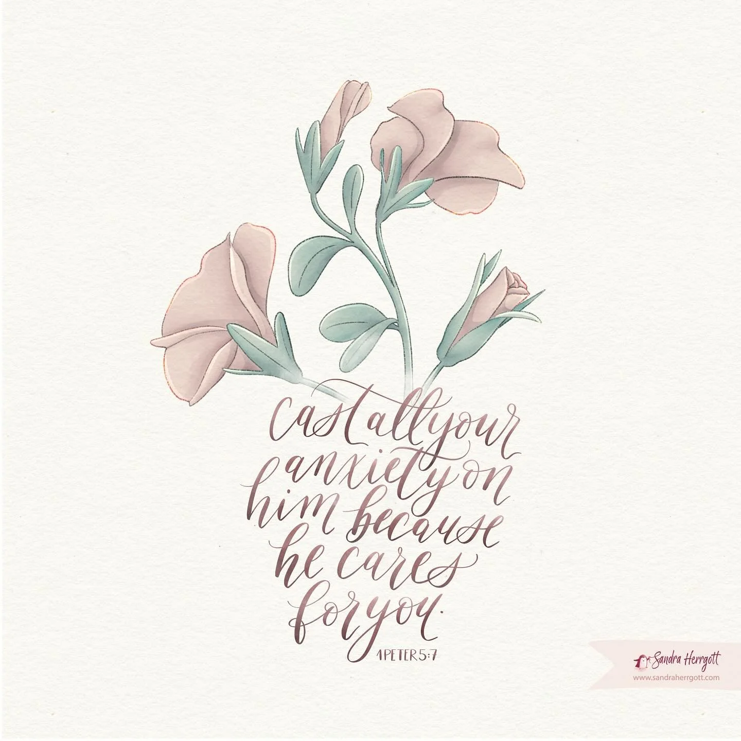 Calibrachoa flower for #floralsandpraiseforhisglory challenge prompt week 2 for November.
.
Swipe to see some close ups.
.
1 Peter 5:7
&ldquo;Cast all your anxiety on him because he cares for you&rdquo;.
.
We had a tumultuous day yesterday. After a h