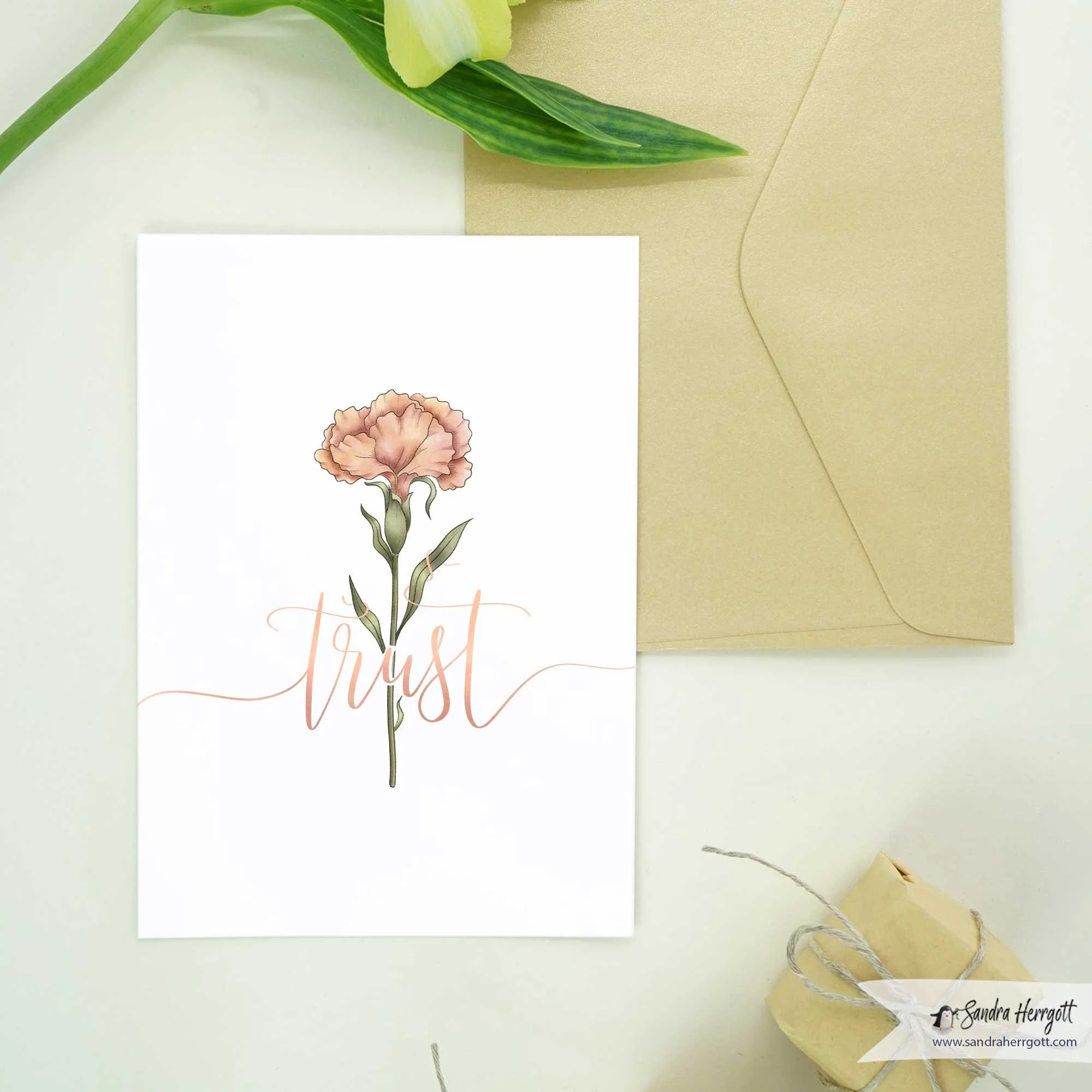 Carnation-Trust-Card.jpg