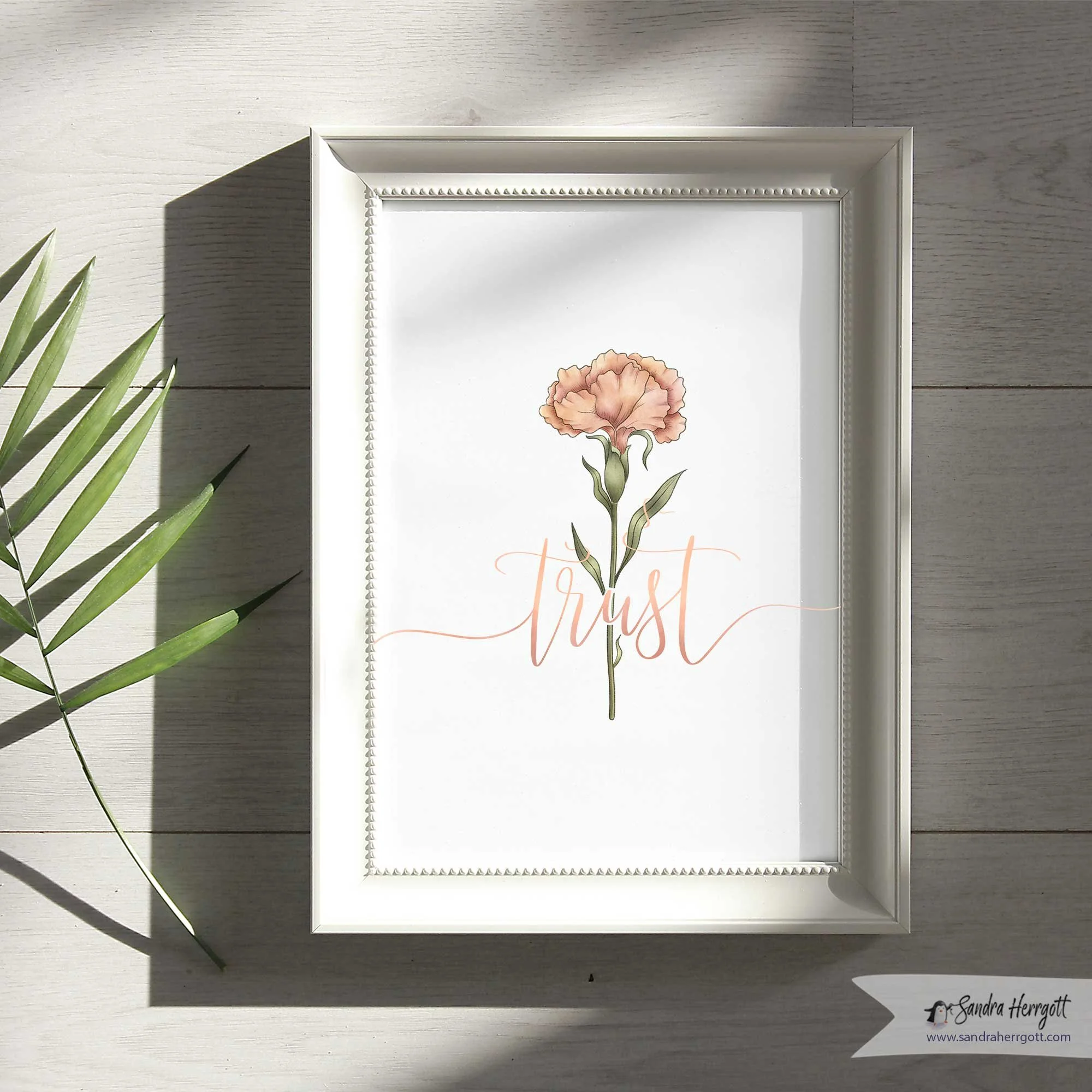 Carnation-Trust-Frame-2.jpg