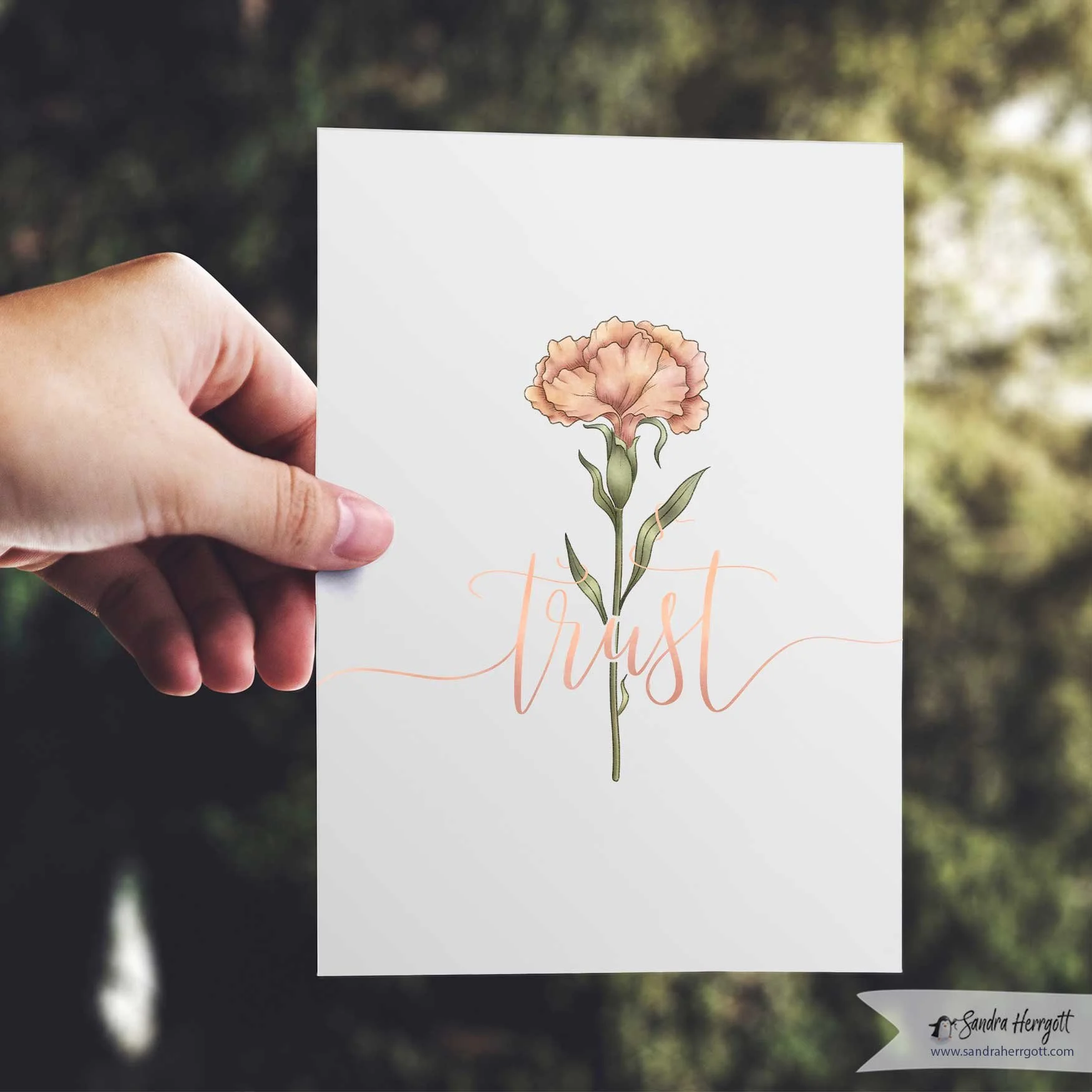 Carnation-Trust-Card-2.jpg