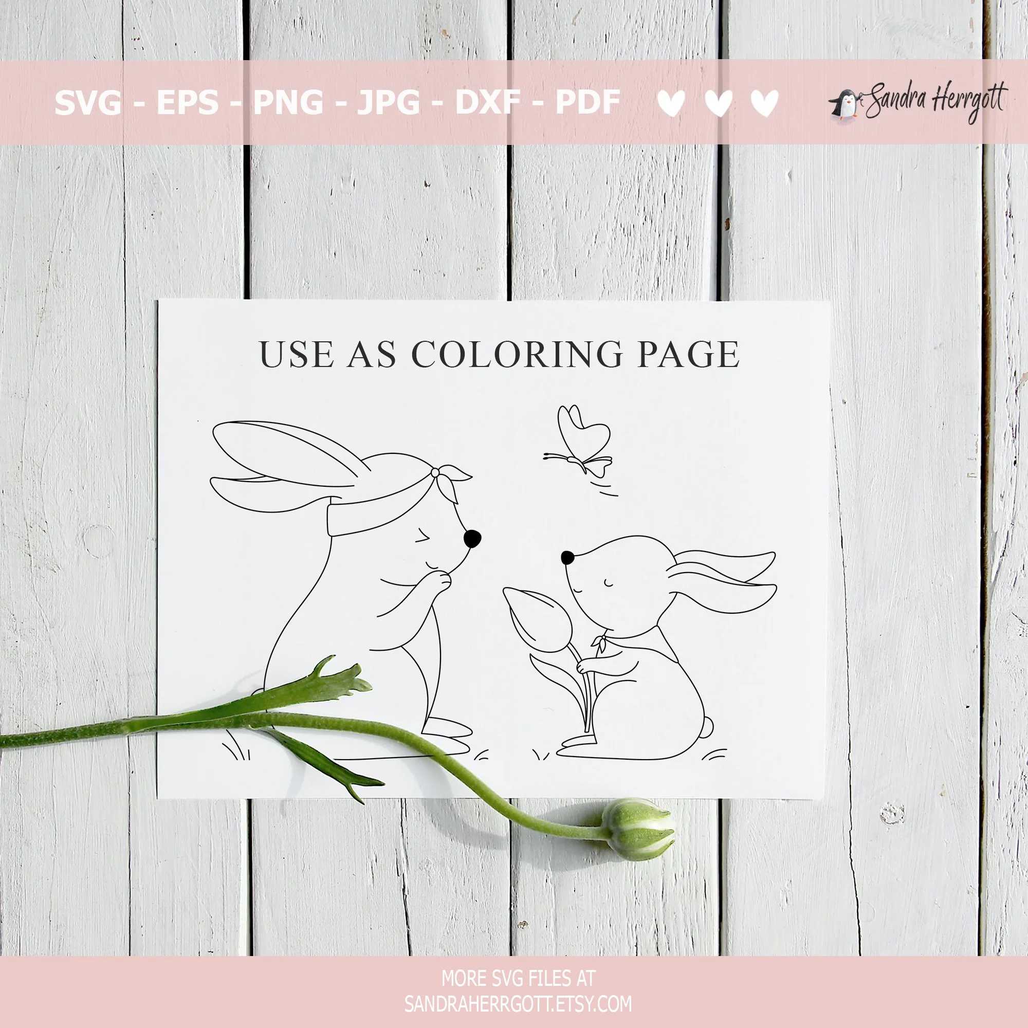 Bunnies-Laughing-01-PAGE.jpg