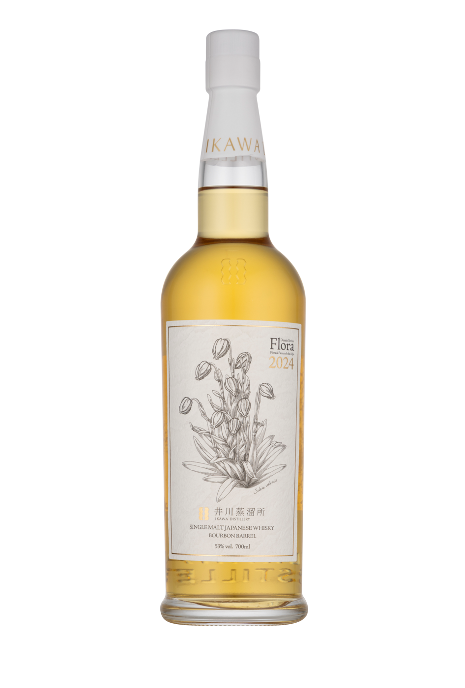Ikawa 2024.png