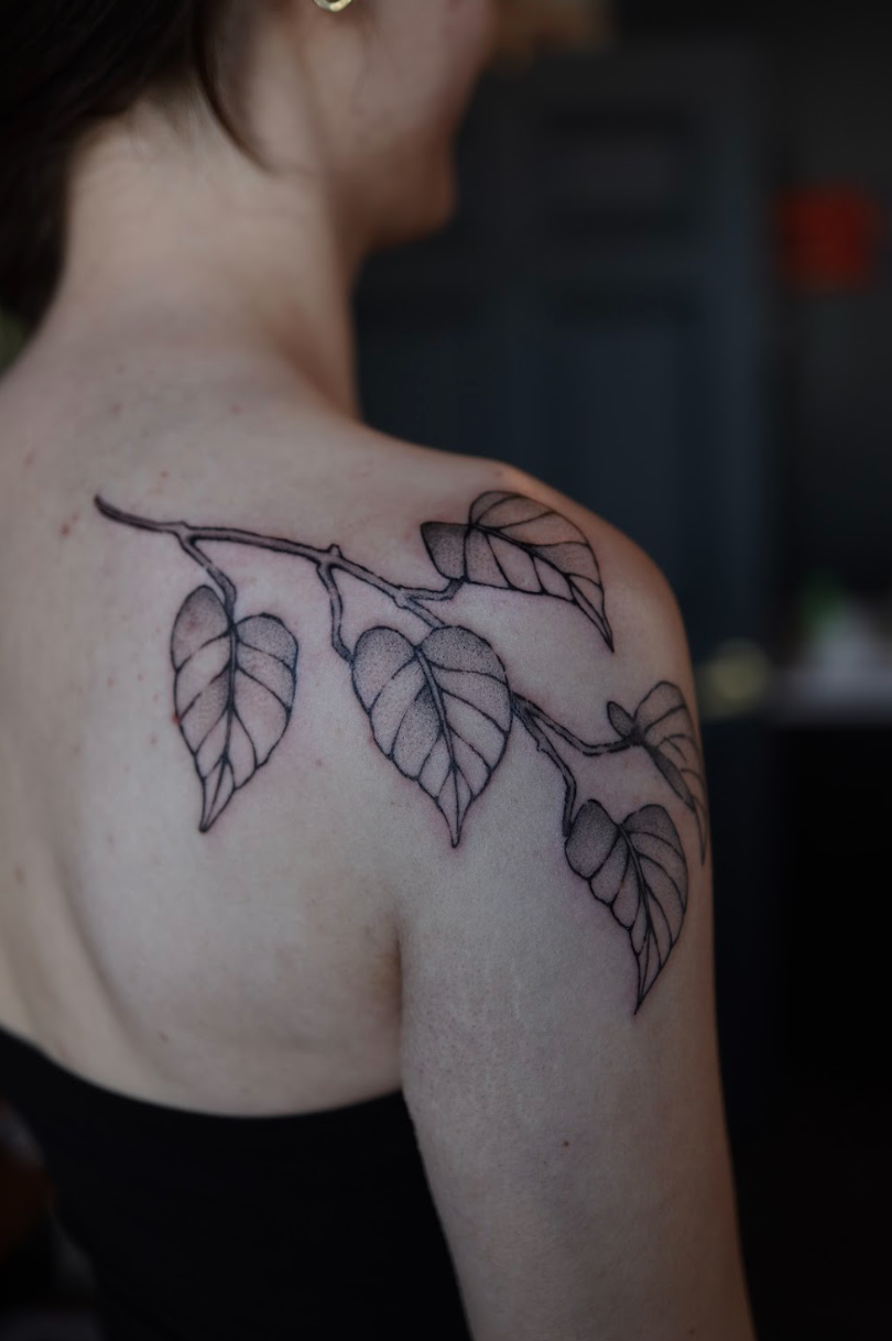 Screen Shot 2026-02-22 at 2.35.15 PM.png