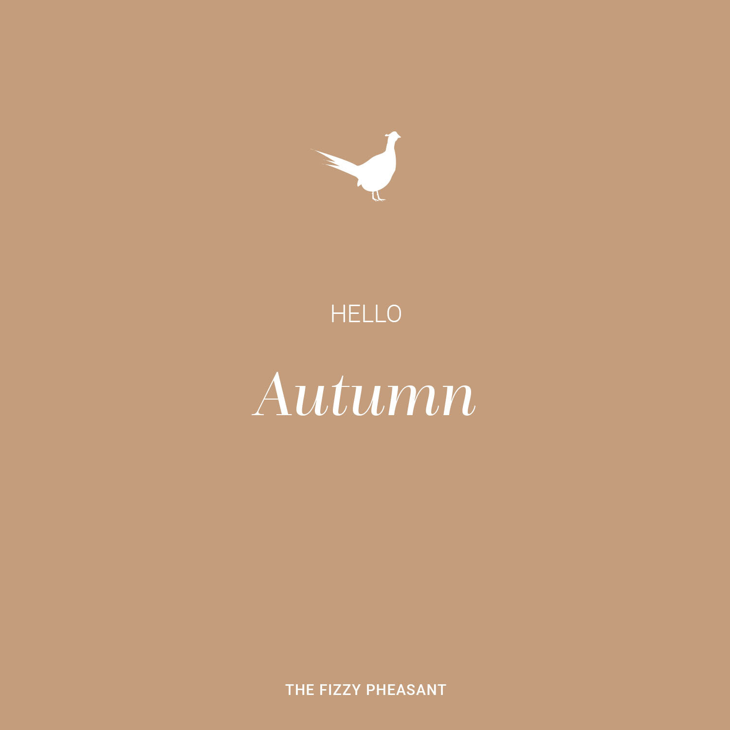 Hello Autumn.jpg