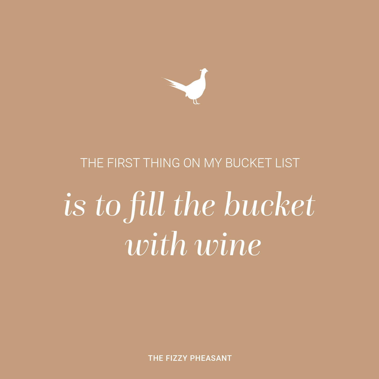 THE FIRST THING ON MY BUCKET LIST, IS TO FILL THE BUCKET WITH WINE.jpg