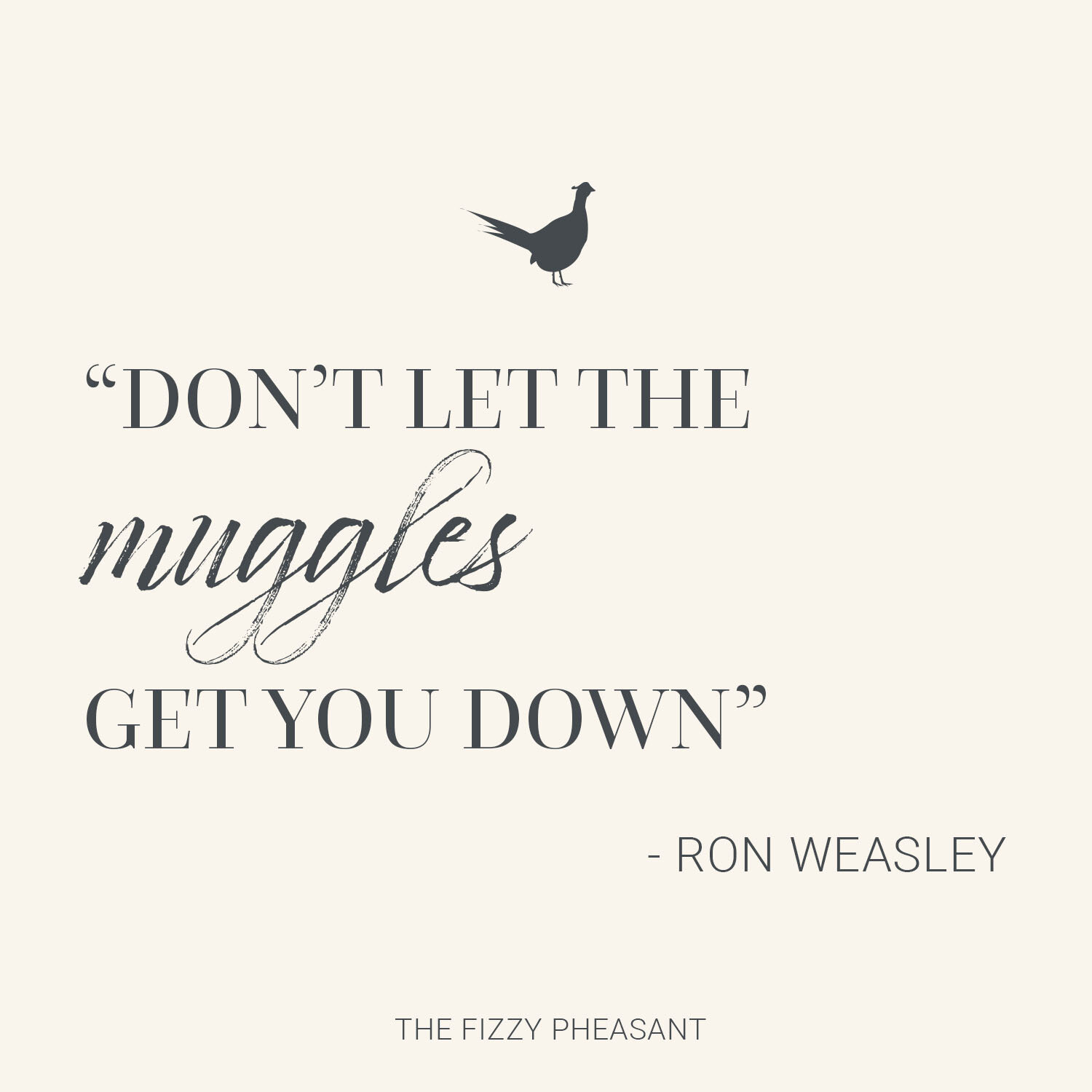 Don’t let the muggles get you down.jpg