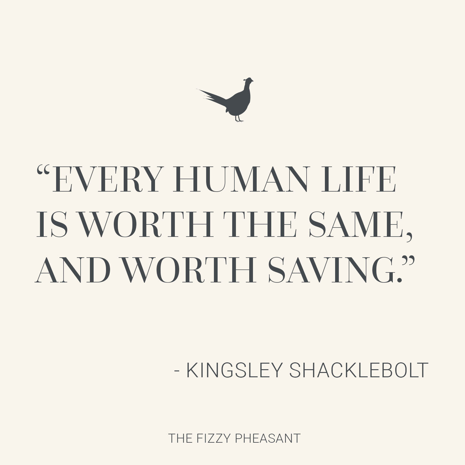 Every human life is worth the same, and worth saving.jpg
