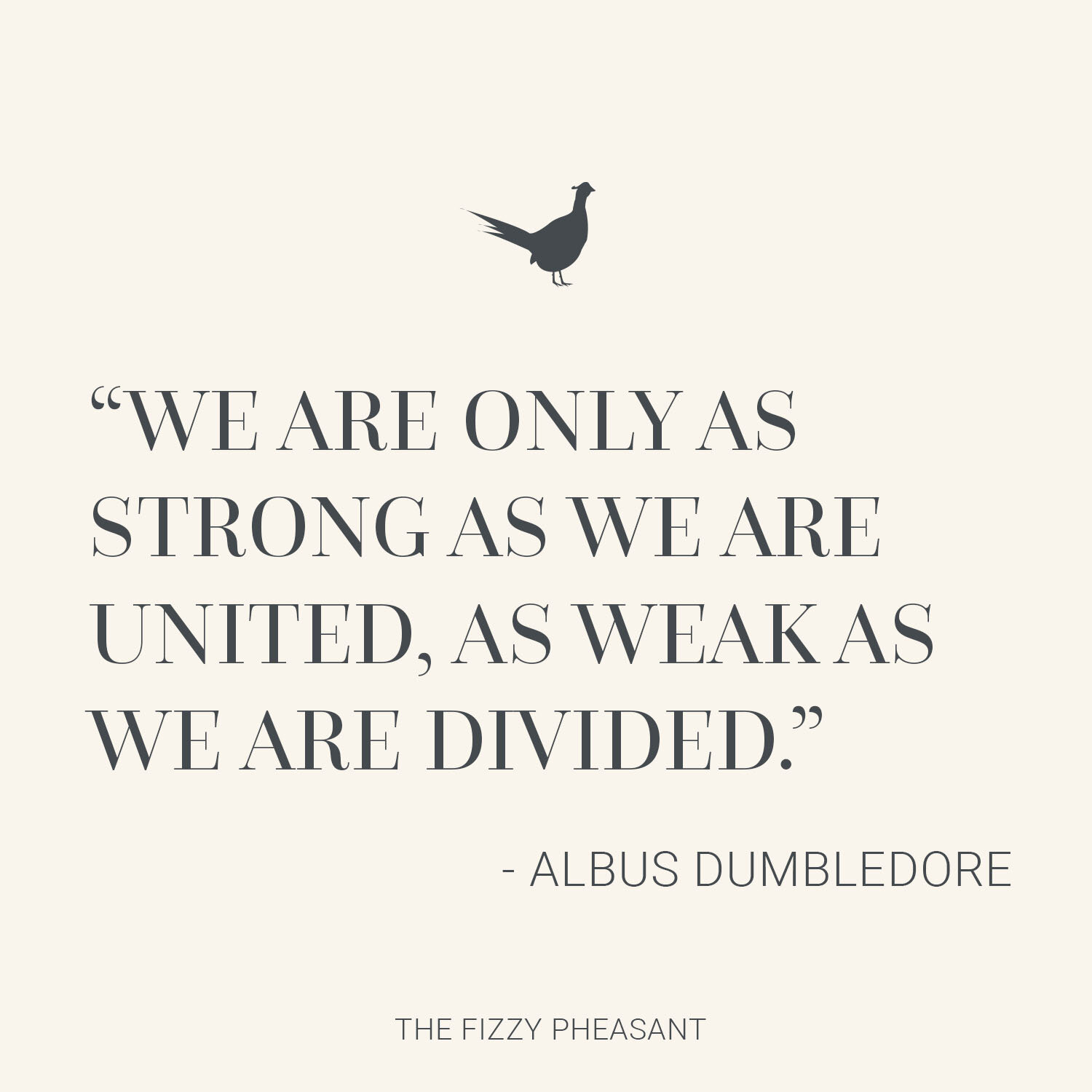 We are only as strong as we are united, as weak as we are divided..jpg