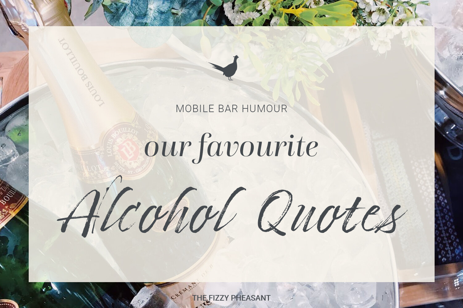 Mobile Bar Humour - Funny Alcohol Quotes — The Fizzy Pheasant