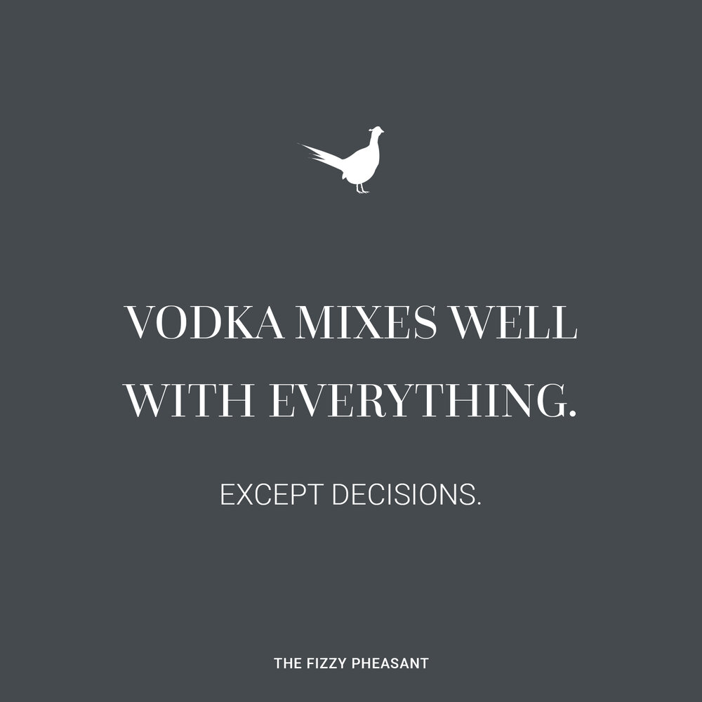 Vodka mixes well with everything, except decisions..jpg