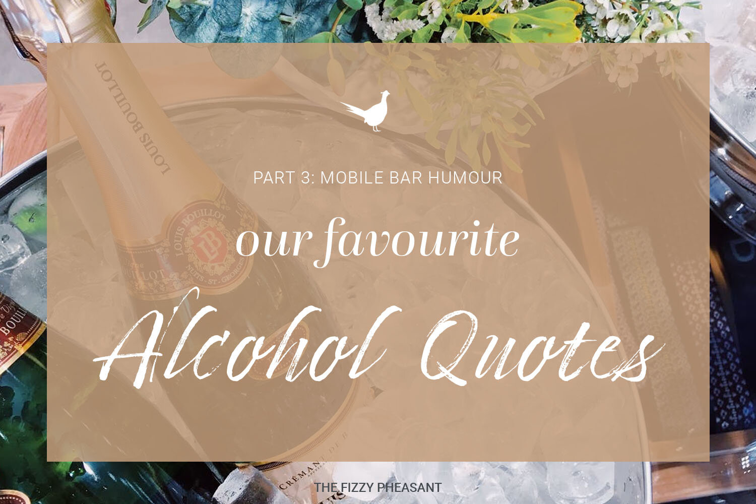 Funny Alcohol Quotes Volume 3 - Mobile Bar Humour — The Fizzy Pheasant