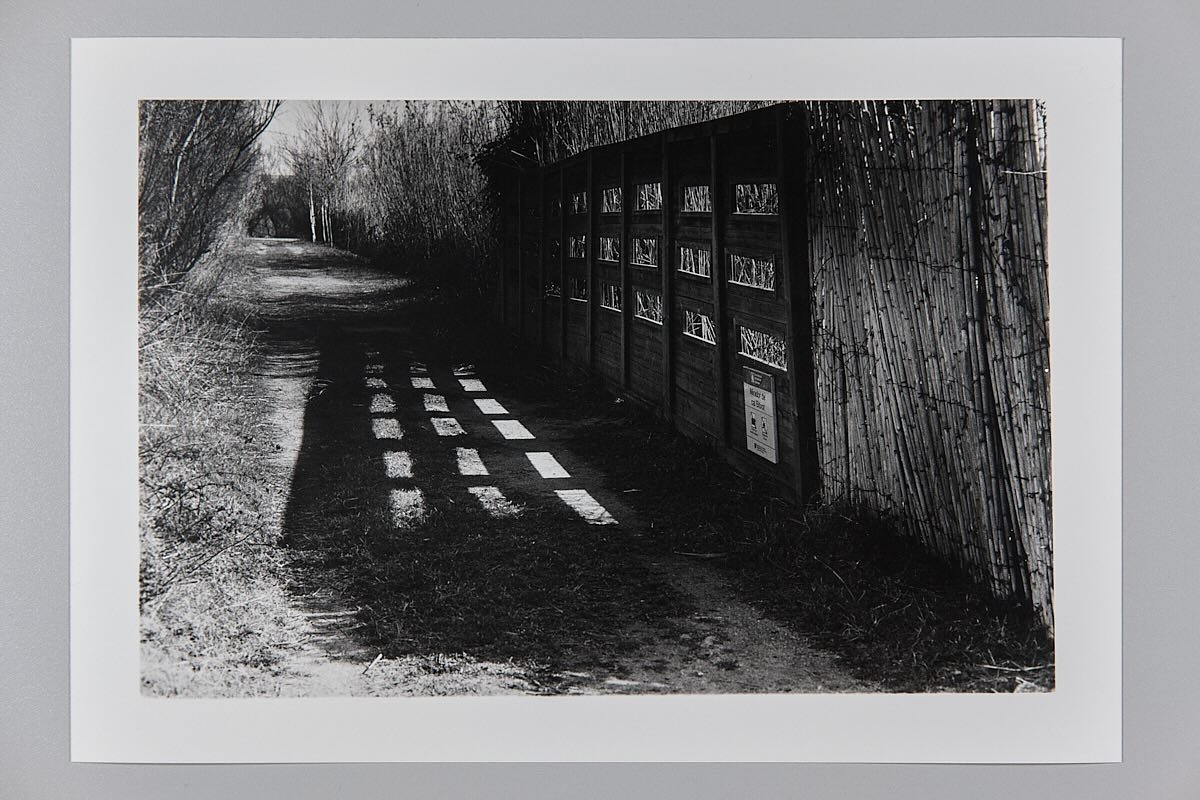 #dimensiones#sombras#huecos#lugares#puntosdeluz#fotografiaanalogica#positivadomanual#presencia#ventanasdeluz#grietas#misterios#filmohotography