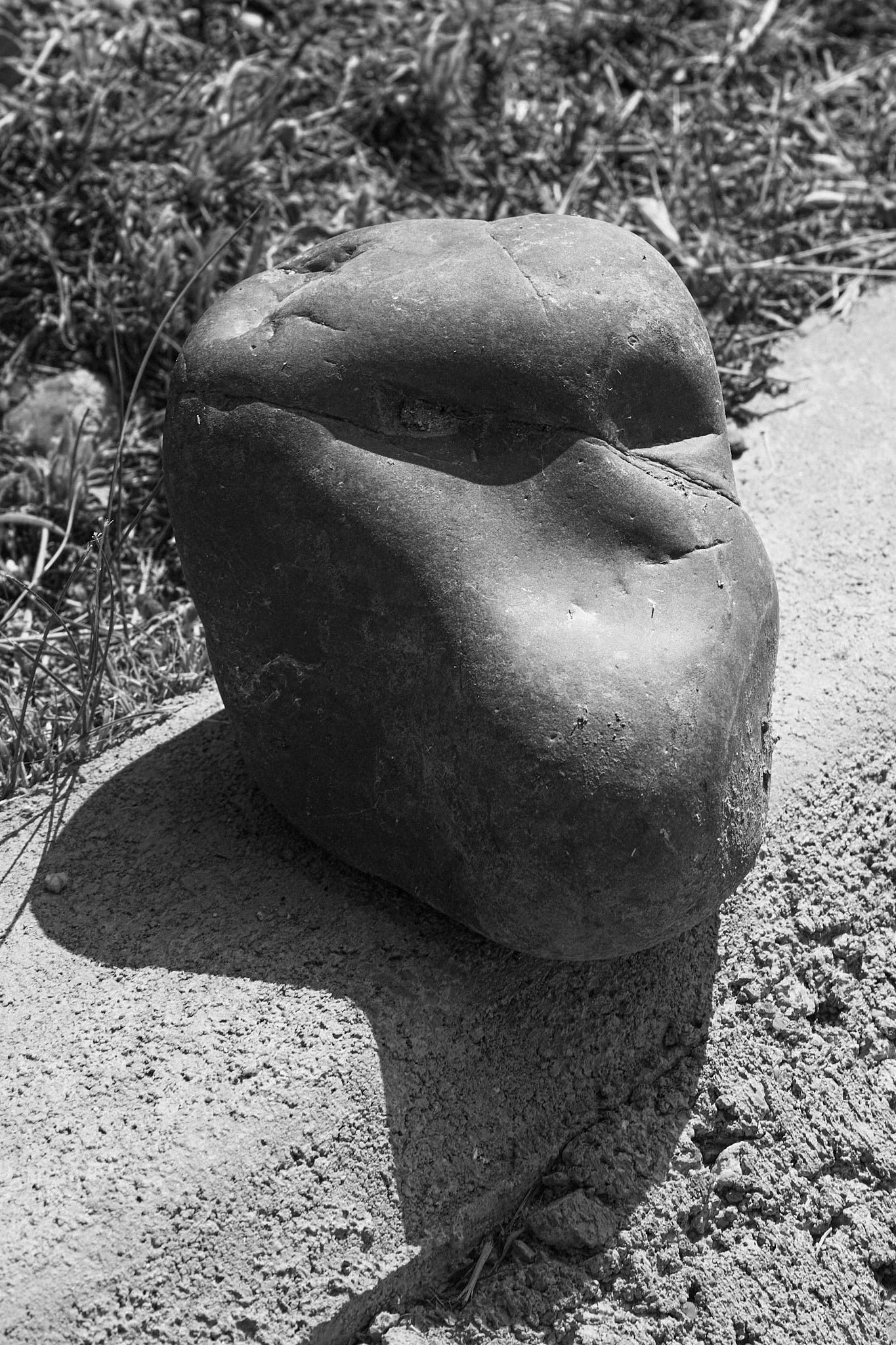 _MG_5754_fernandorodriguez_ago 15 2024.jpg