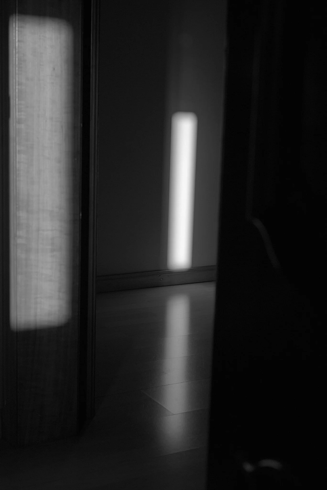 L1001558 1_fernandorodriguez_ago 15 2024.jpg