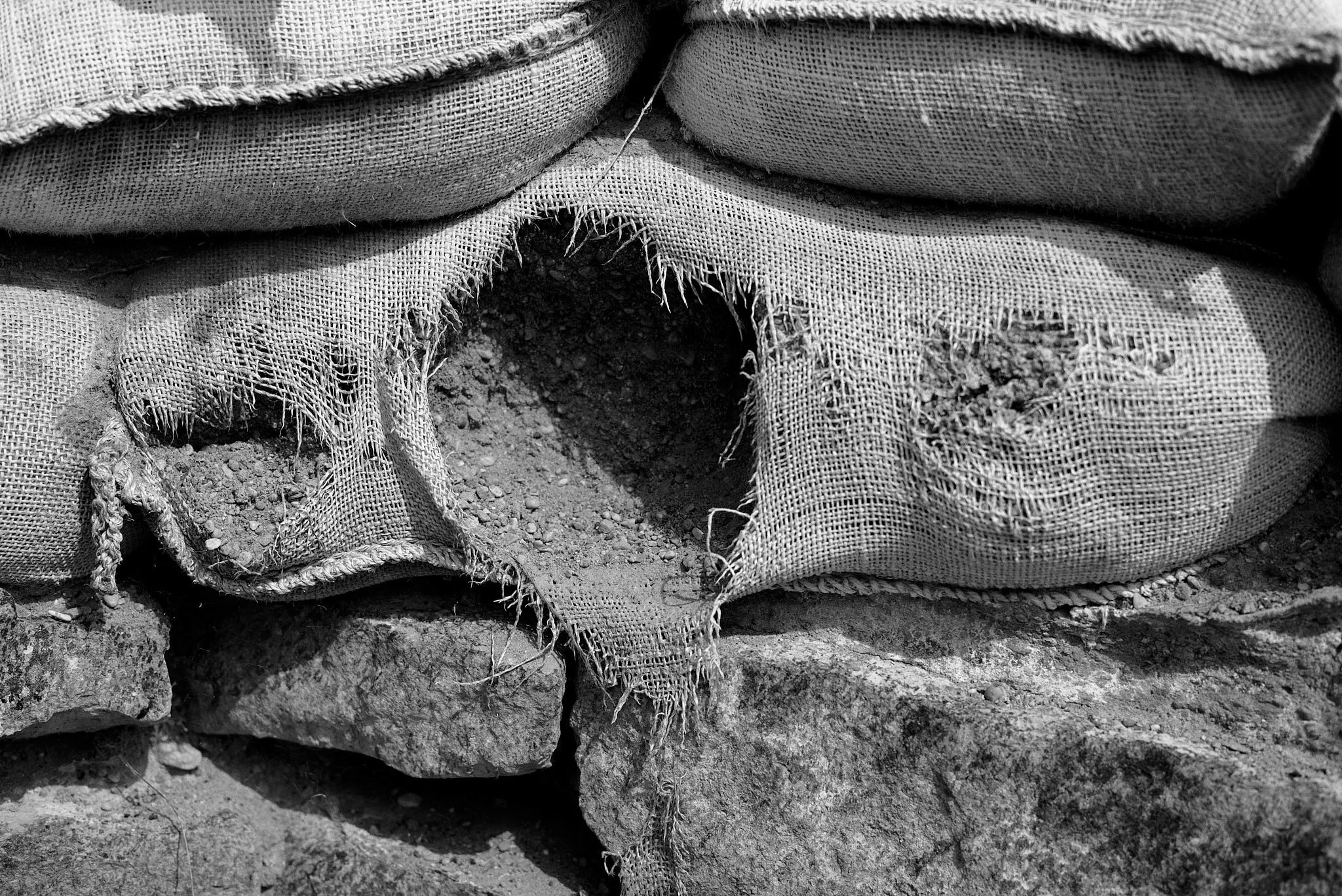 L1003653_noise_fernandorodriguez_ago 15 2024.jpg