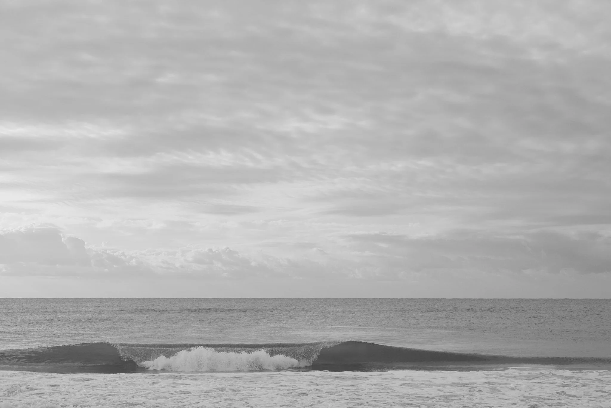 L1006234_fernandorodriguez_ago 15 2024.jpg