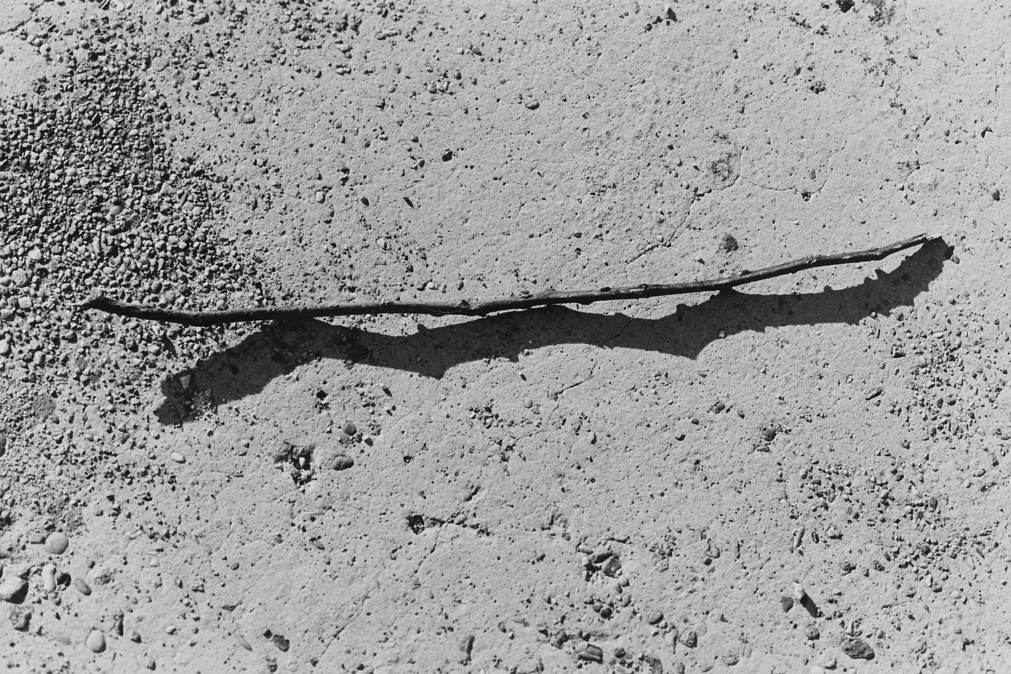 _MCB2687_fernandorodriguez_dic 30 2025.jpg