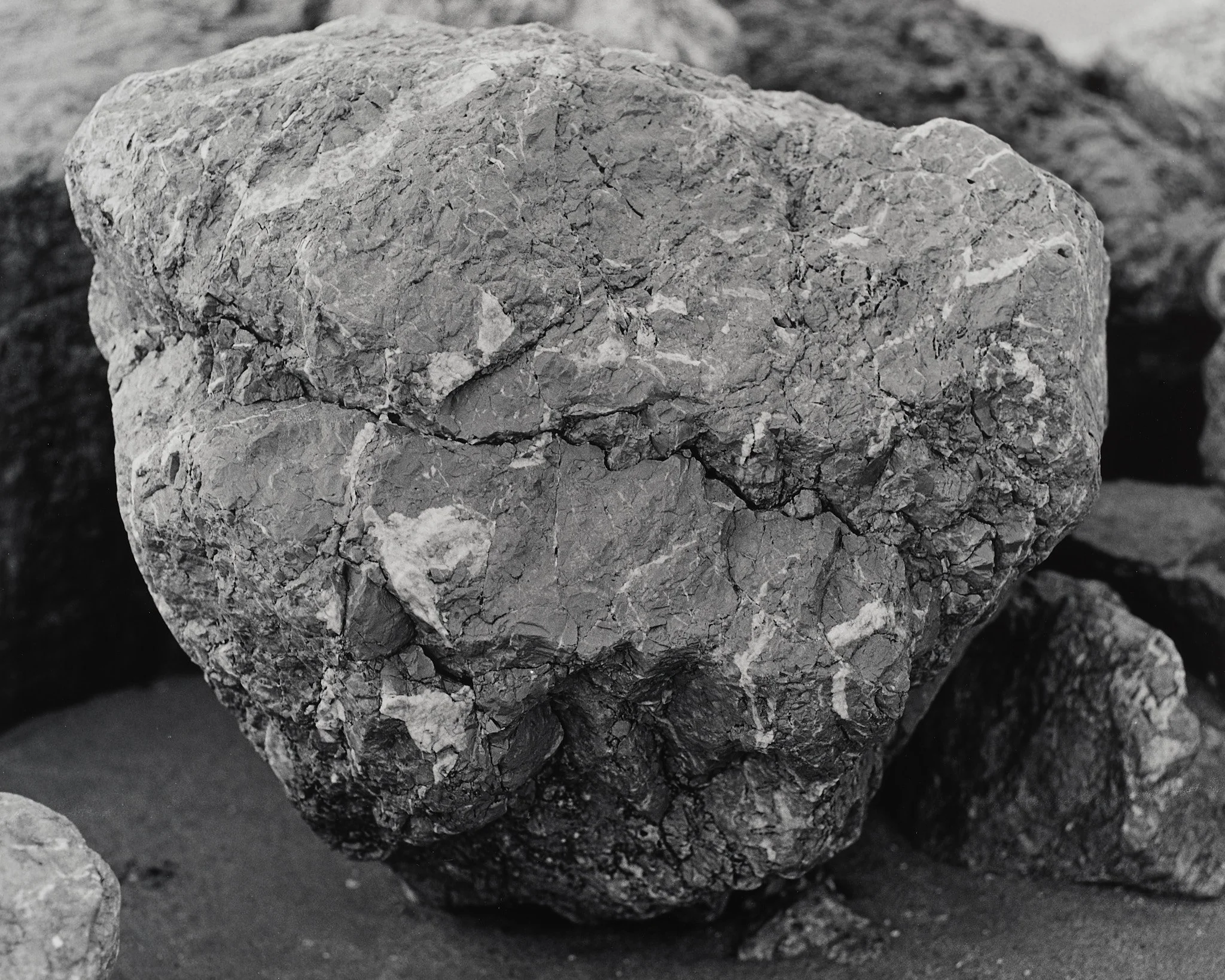 _MCB2662_fernandorodriguez_dic 30 2025.jpg