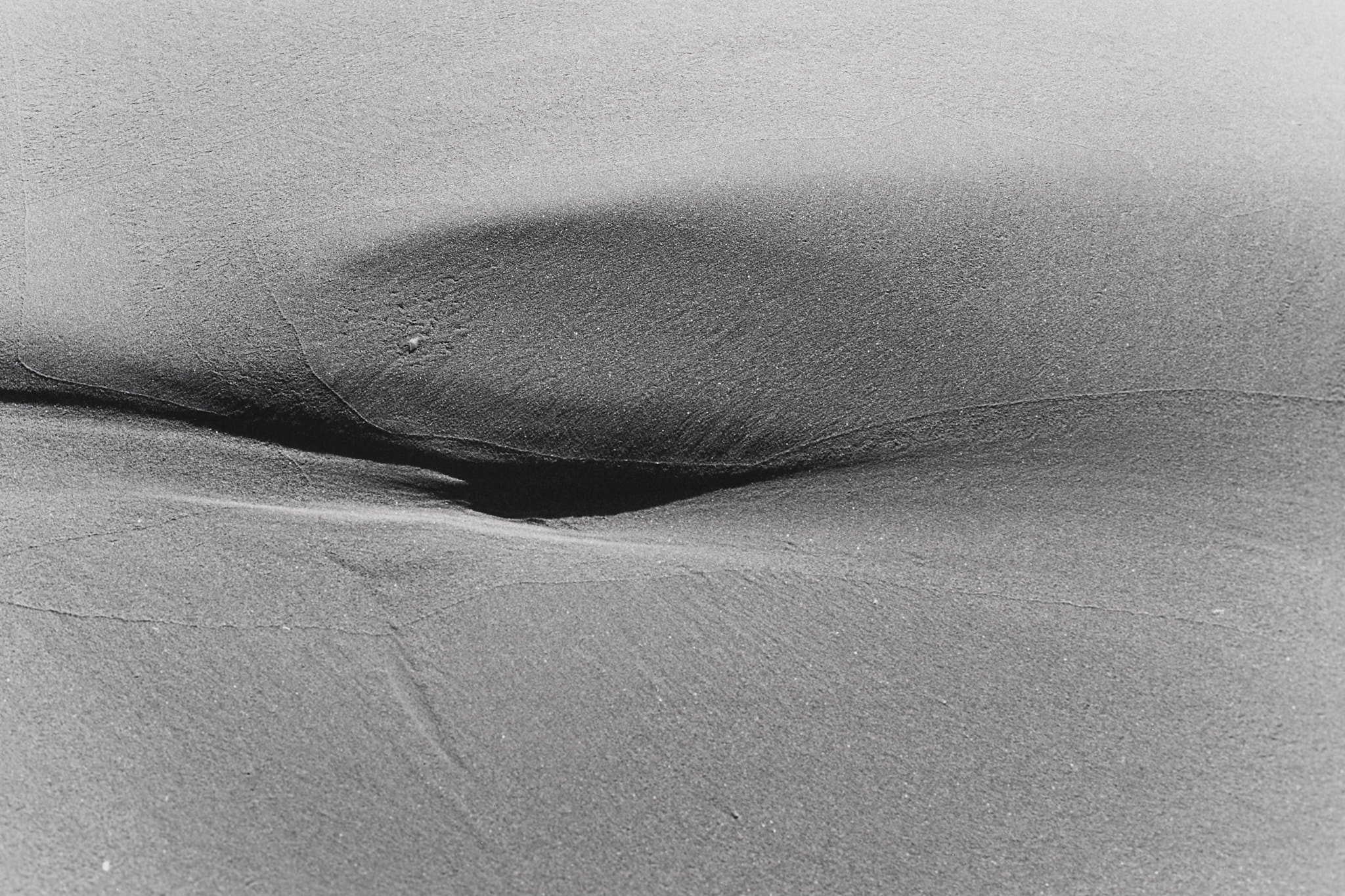 _MCB2632_fernandorodriguez_dic 30 2025.jpg