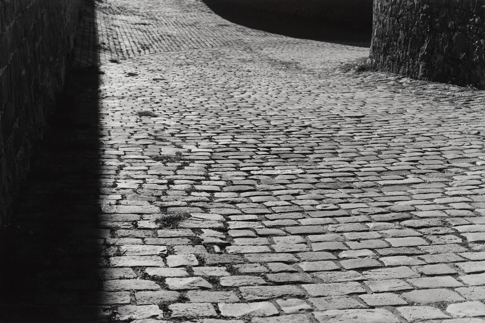 _MCB2648_fernandorodriguez_dic 30 2025.jpg