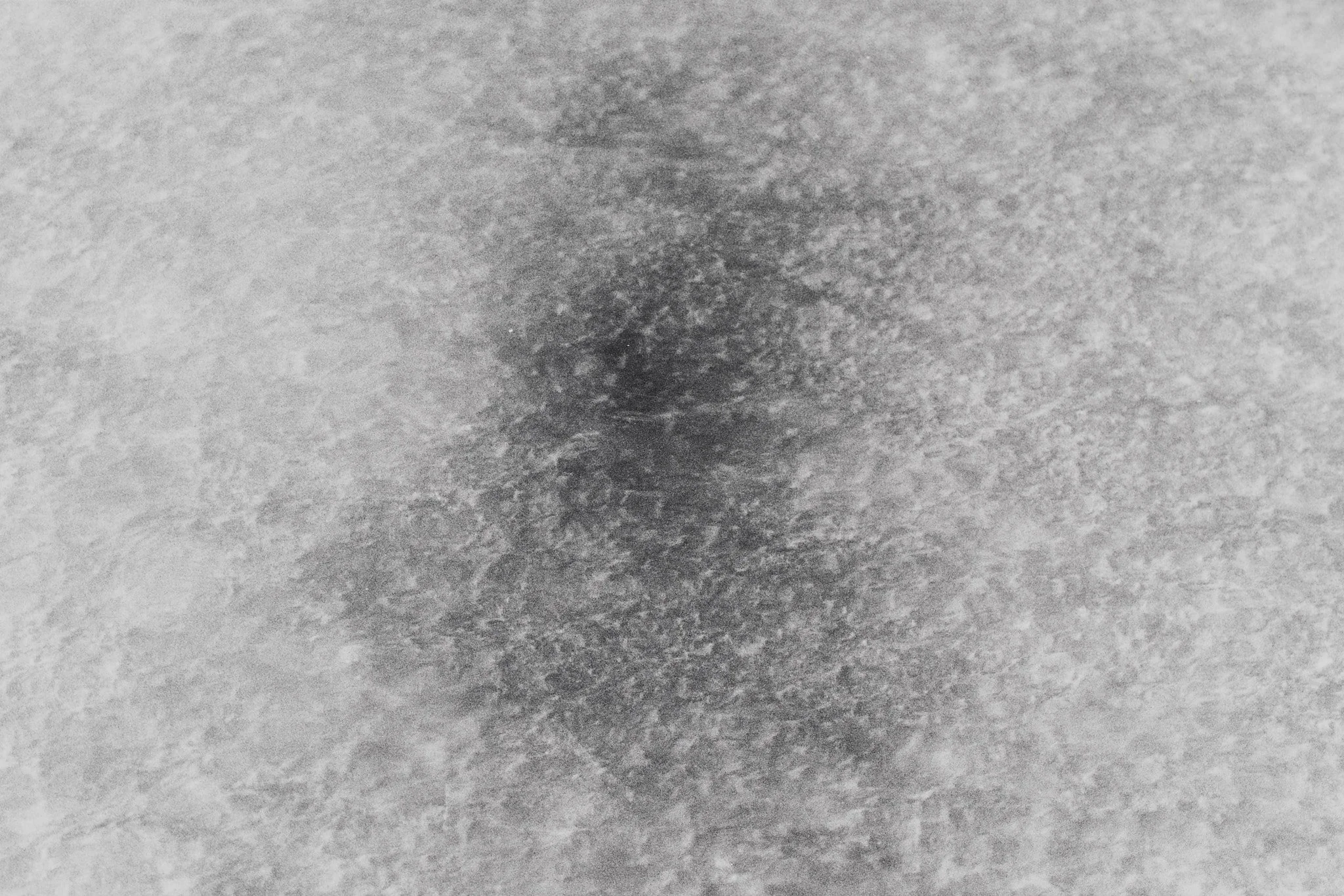 _MCB2695_fernandorodriguez_dic 30 2025.jpg