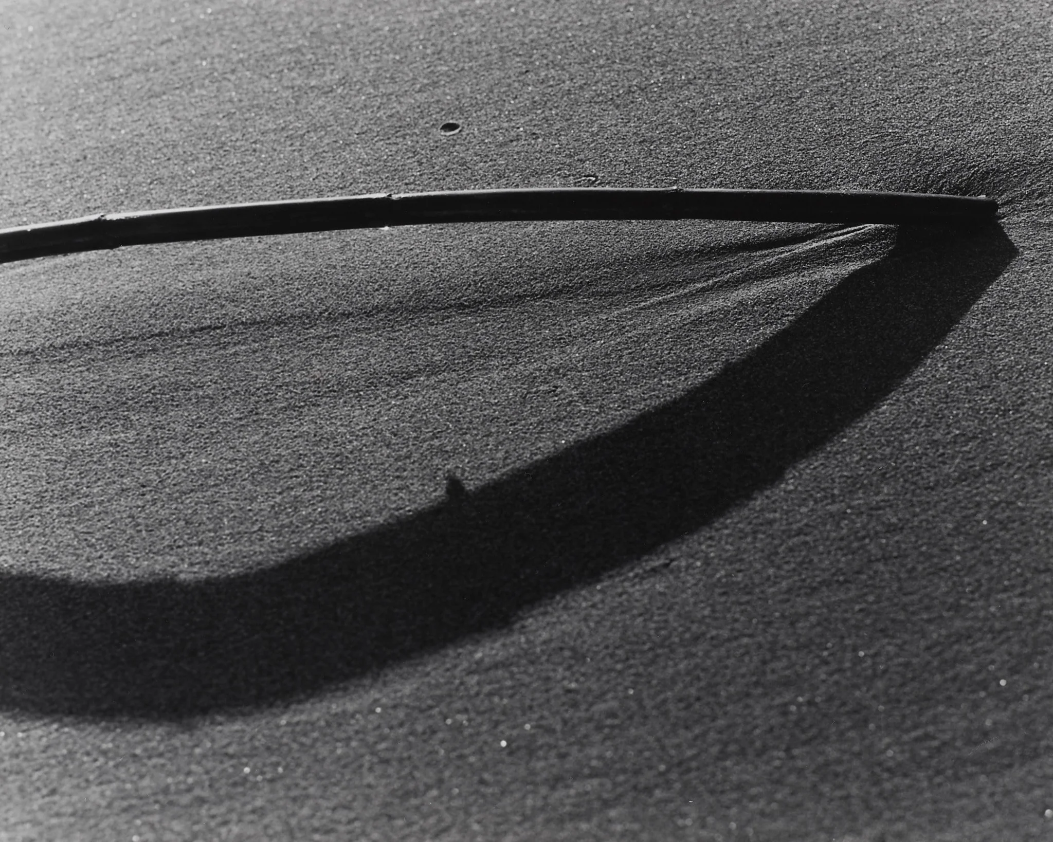 _MCB2709_fernandorodriguez_dic 30 2025.jpg