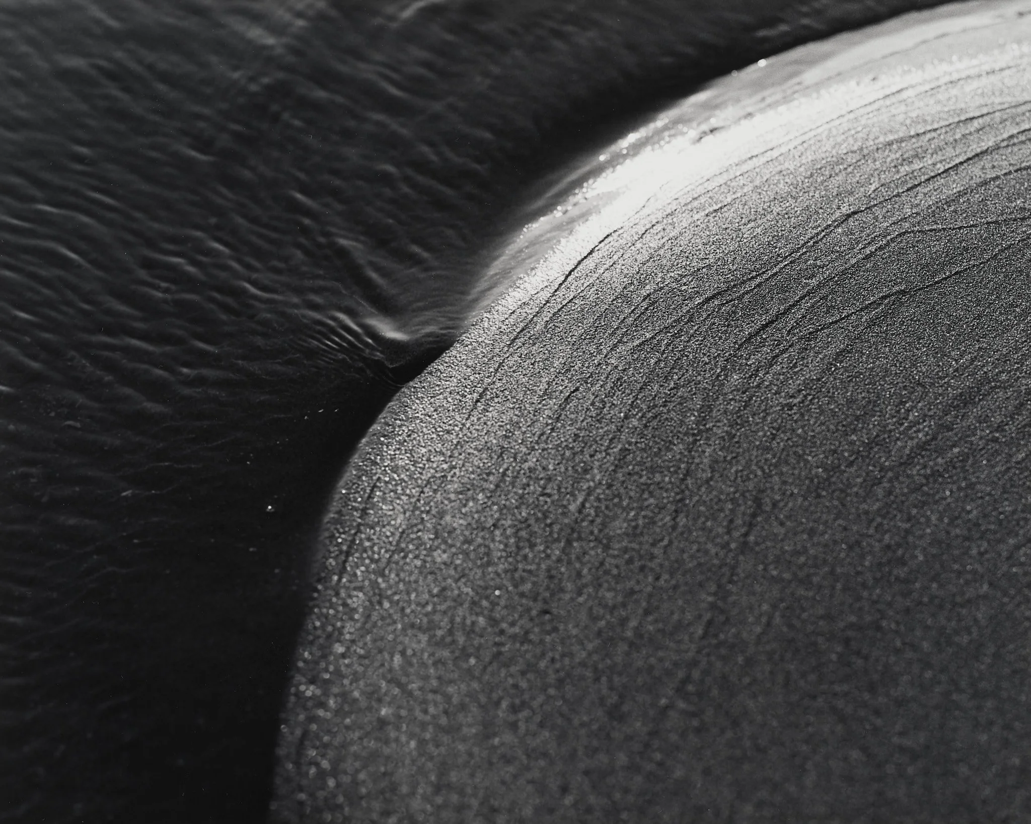 _MCB2655_fernandorodriguez_dic 30 2025.jpg