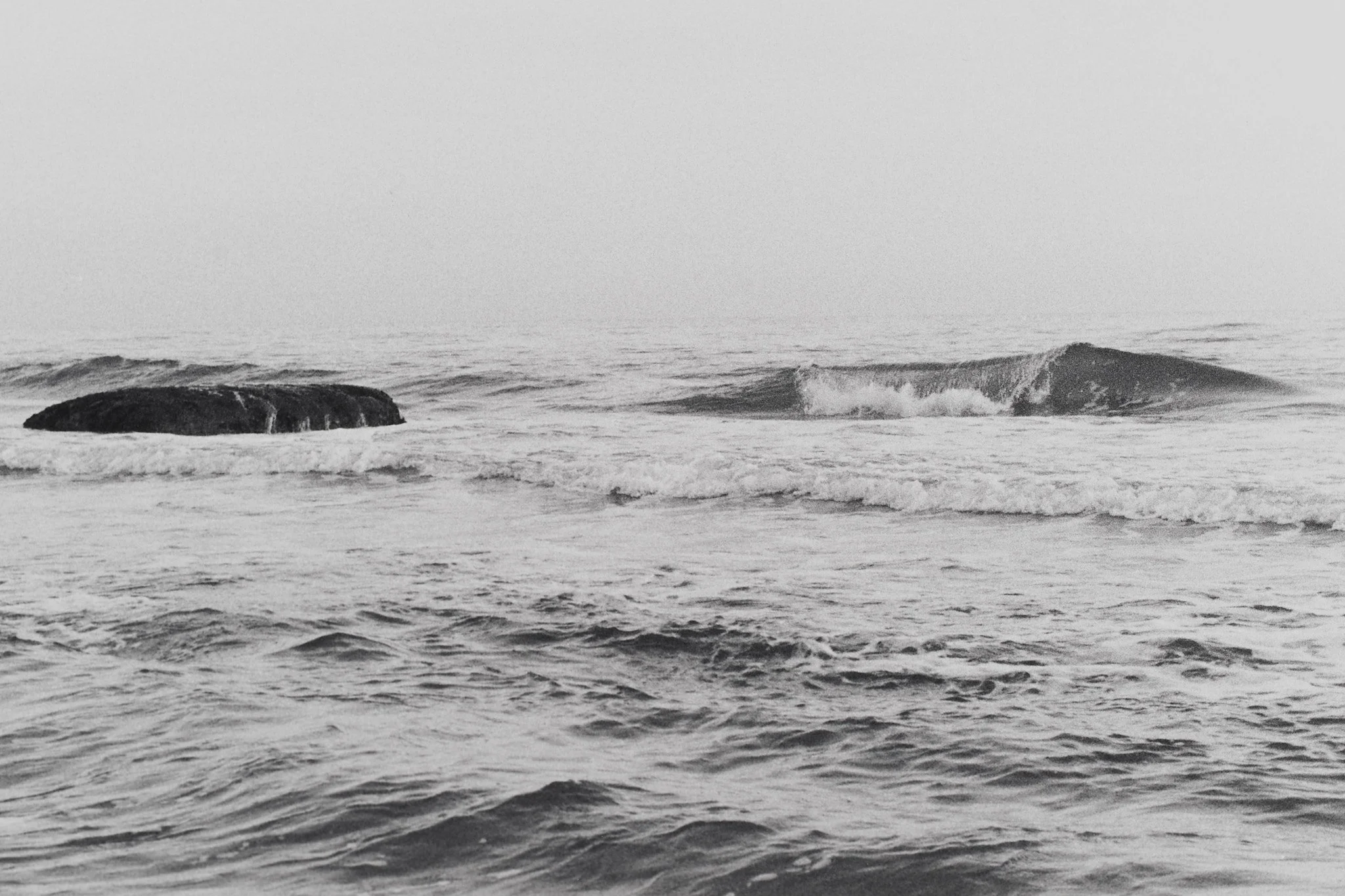 _MCB2688_fernandorodriguez_dic 30 2025.jpg