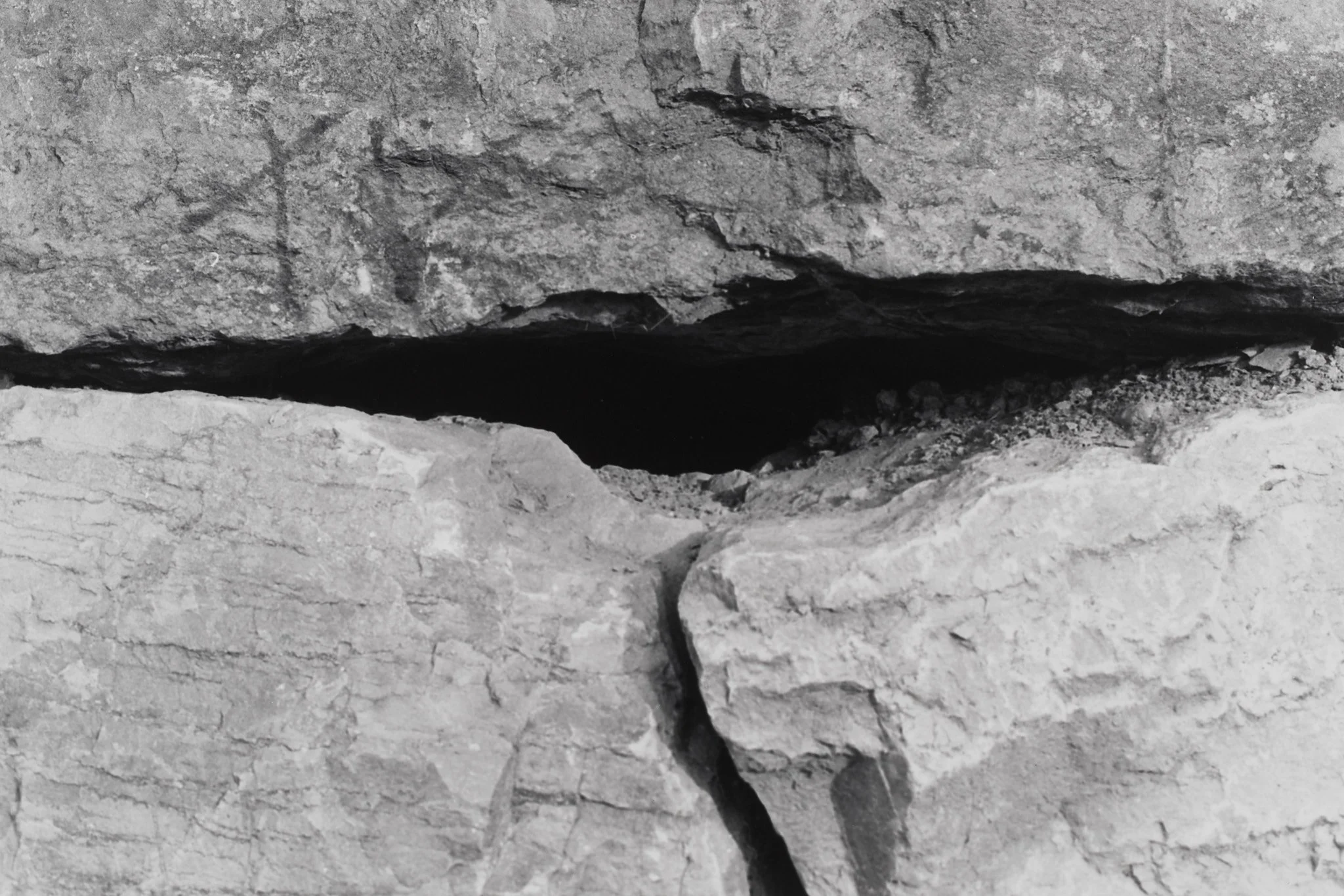 _MCB2685_fernandorodriguez_dic 30 2025.jpg