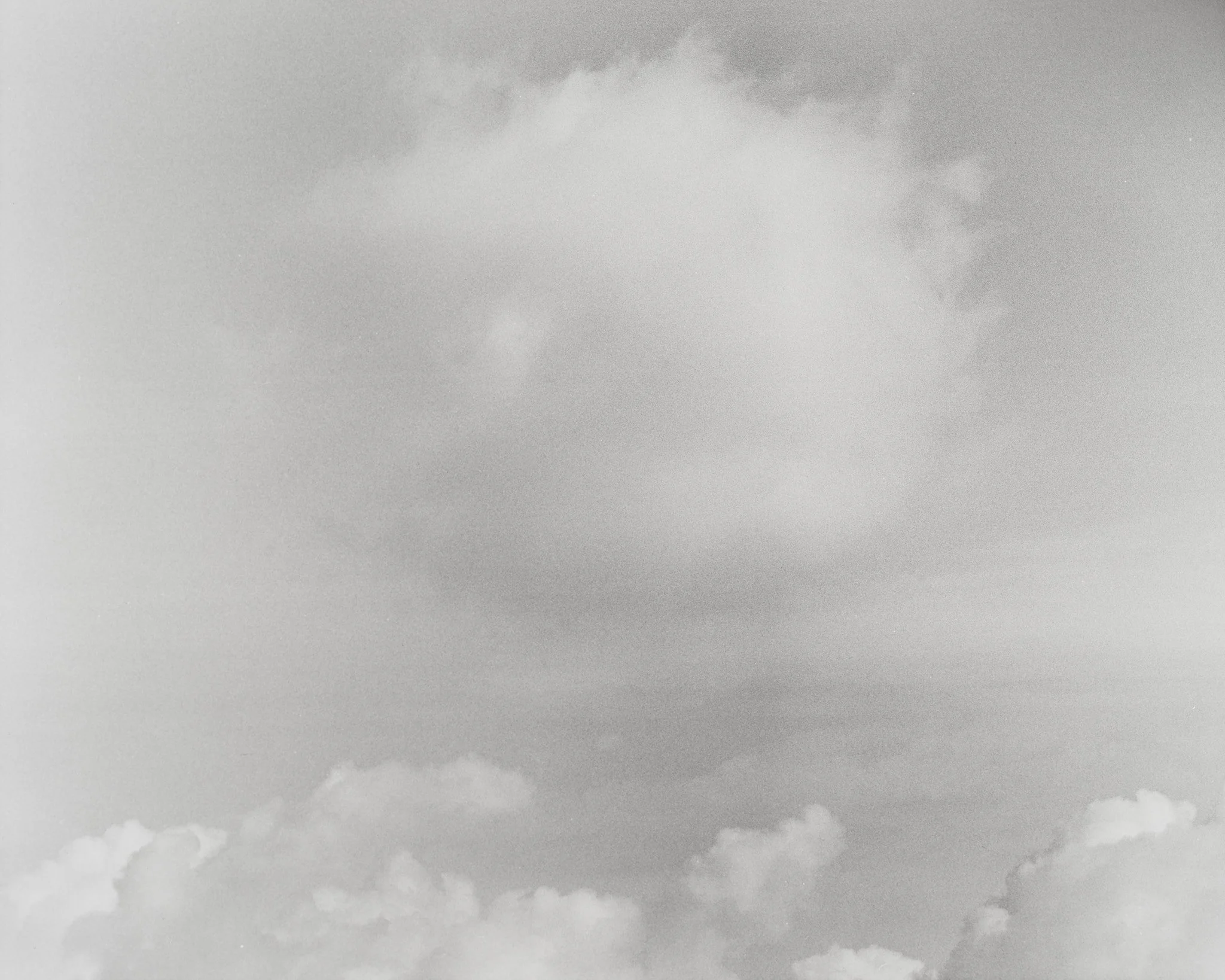 _MCB2663_fernandorodriguez_dic 30 2025.jpg