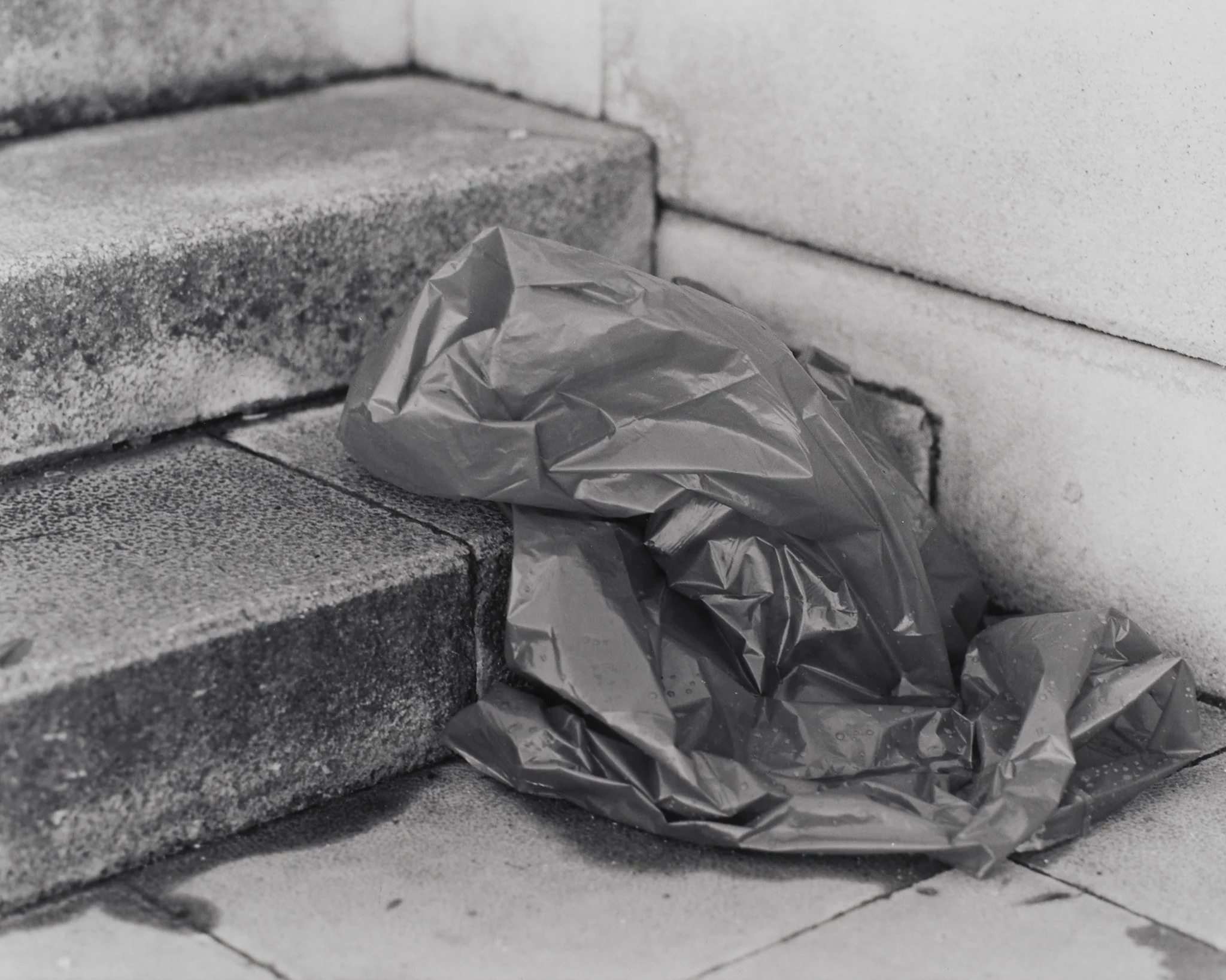 _MCB2710_fernandorodriguez_dic 30 2025.jpg