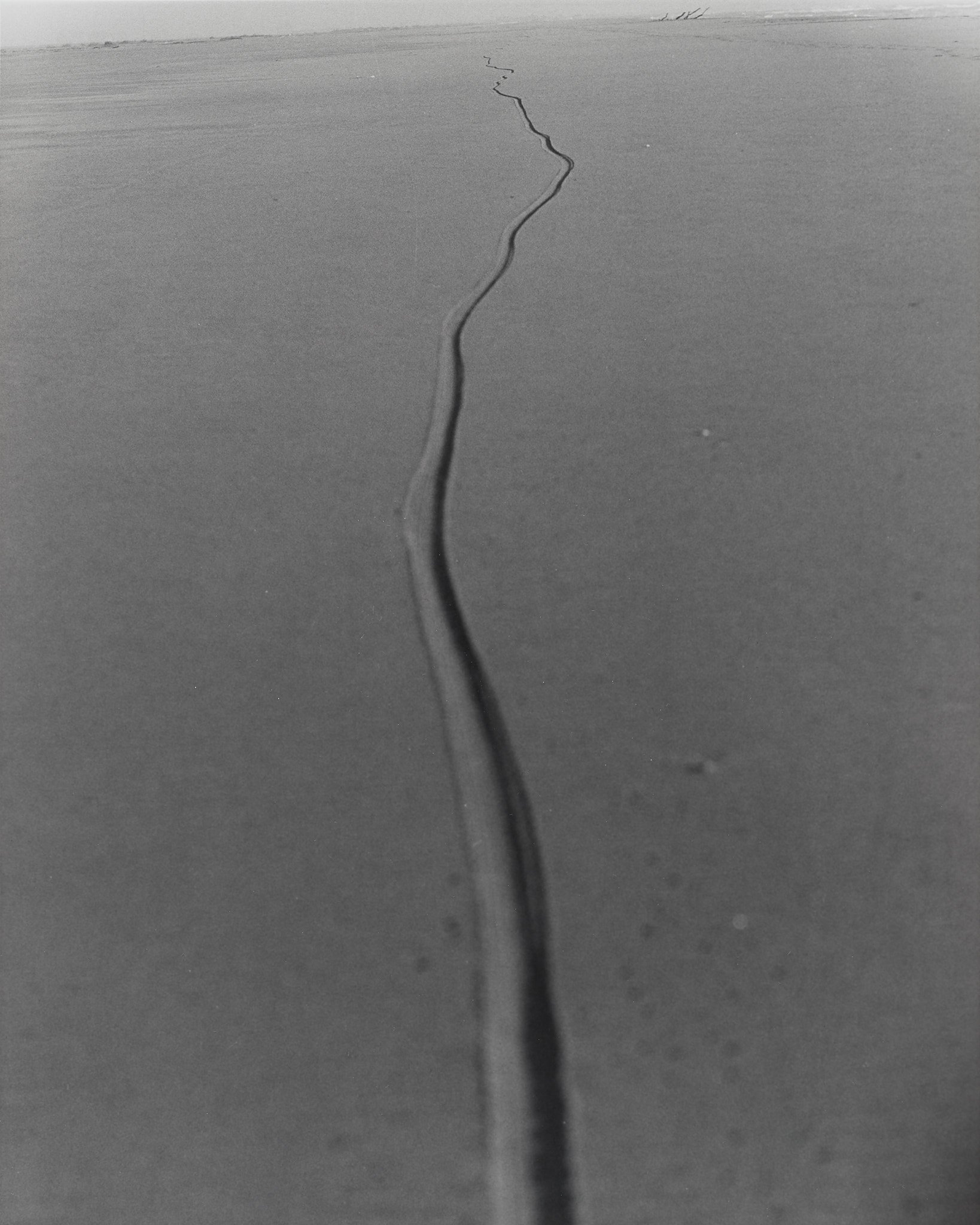 _MCB2659_fernandorodriguez_dic 30 2025.jpg