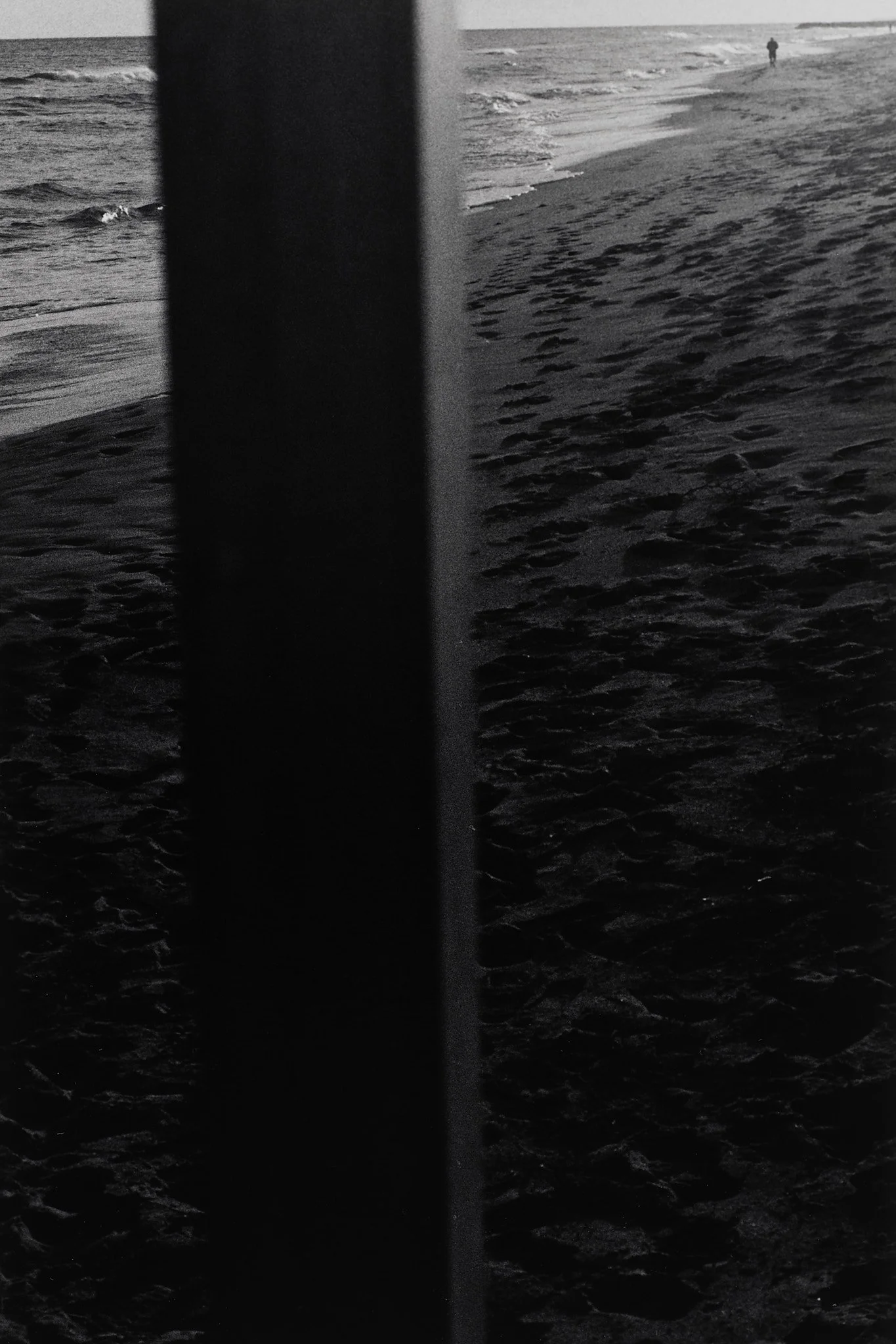 _MCB2677_fernandorodriguez_dic 30 2025.jpg