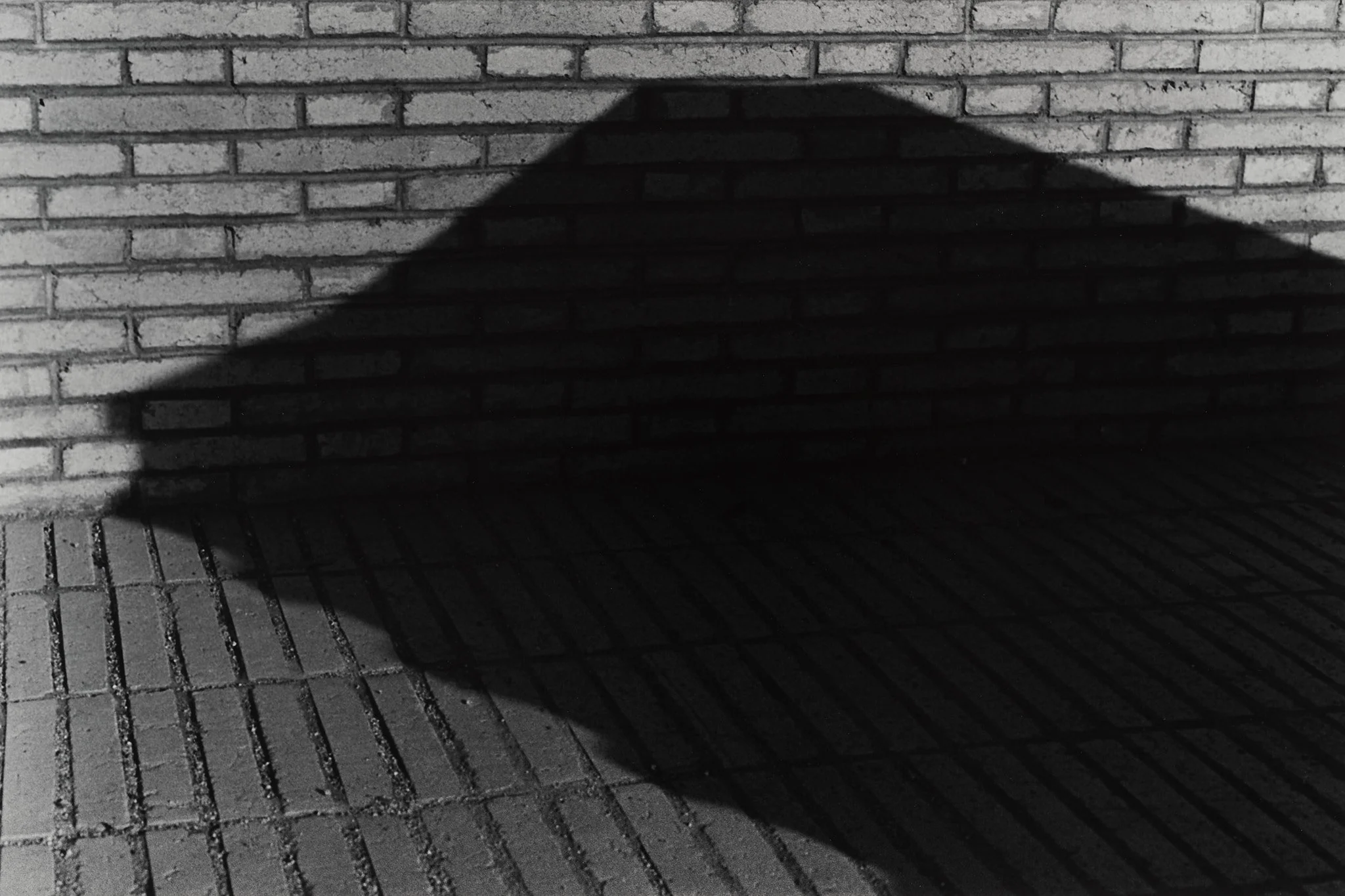 _MCB2641_fernandorodriguez_dic 30 2025.jpg