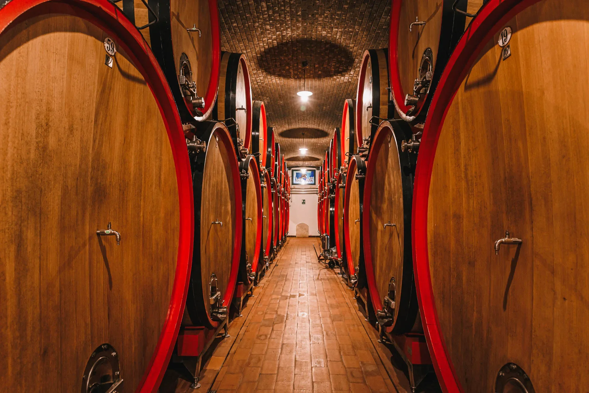 Photoshoot at a big winery in Valpolicella, Verona, Italy