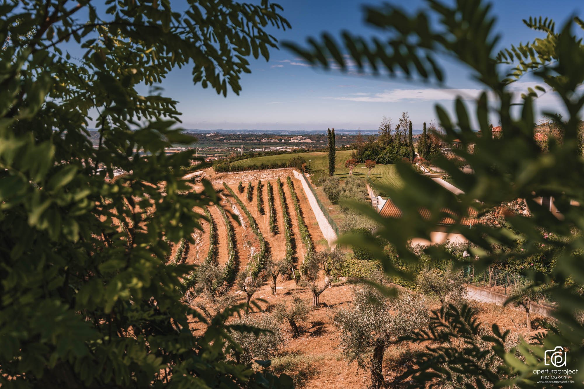 greek_wine_experience_ampelonas.jpg