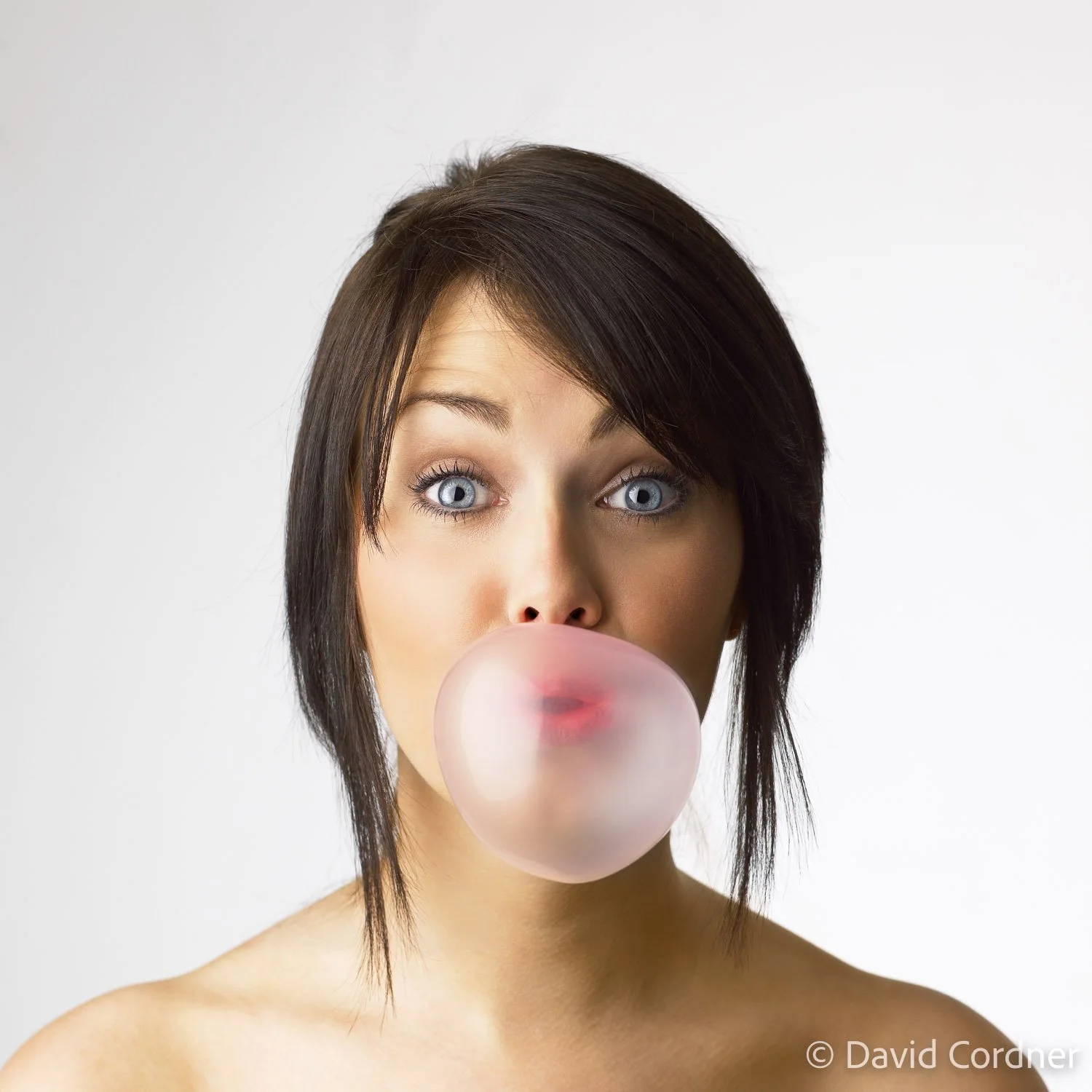 High-end stock photography by David Cordner, originally licensed through Getty Images