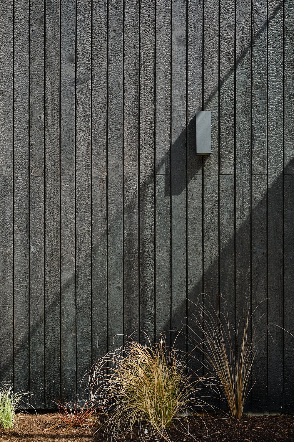 Architectural photography detailed shot of charred Siberian larch.JPG