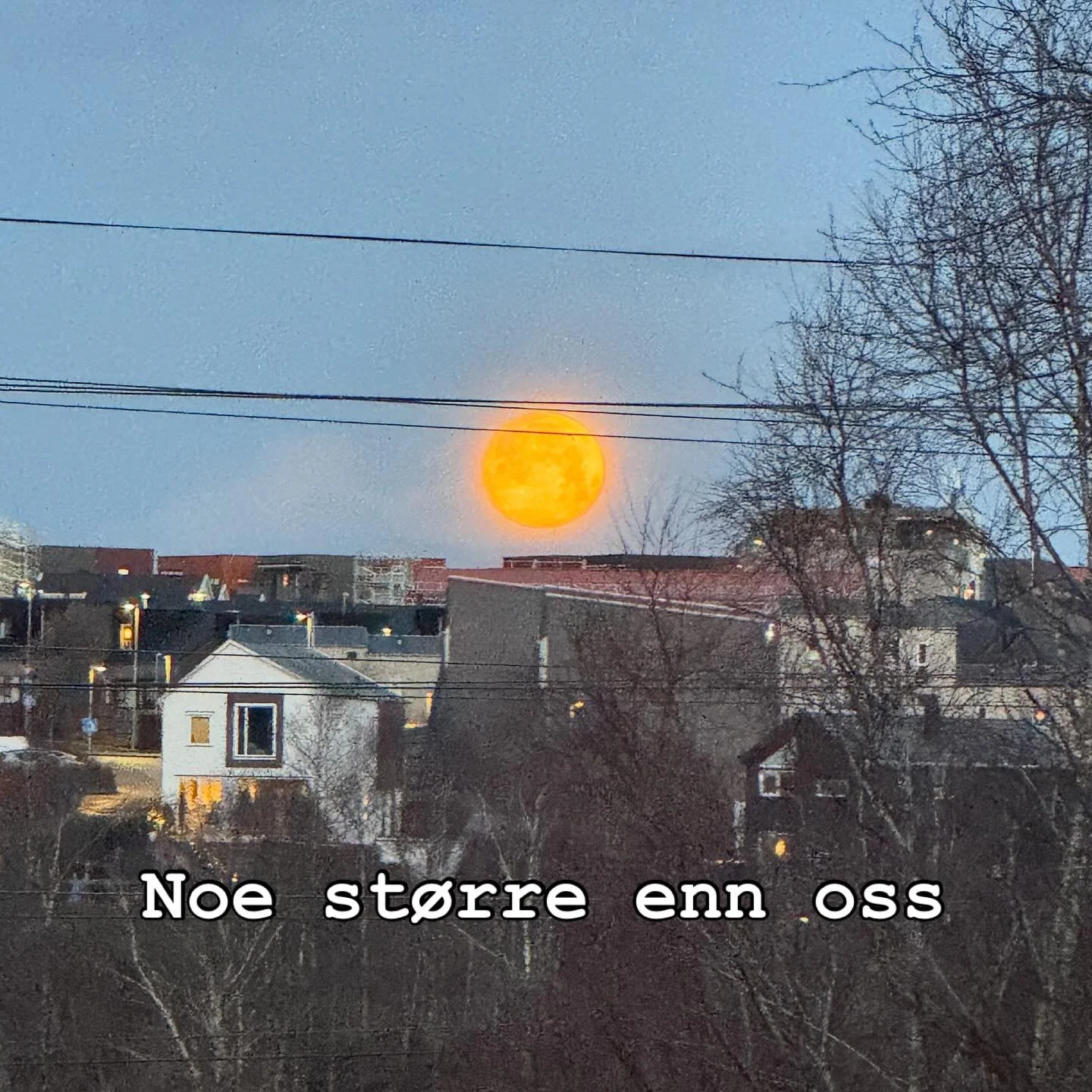 4. Desember 

Naturen,
Tilstedev&aelig;relsen,
Roen.

Naturen minner meg p&aring; at vi er en del av noe st&oslash;rre enn oss selv 🌕 Det har v&aelig;rt magisk &aring; g&aring; tur hver morgen n&aring;r ungene er levert 🥰

Hva minner m&aring;nen og