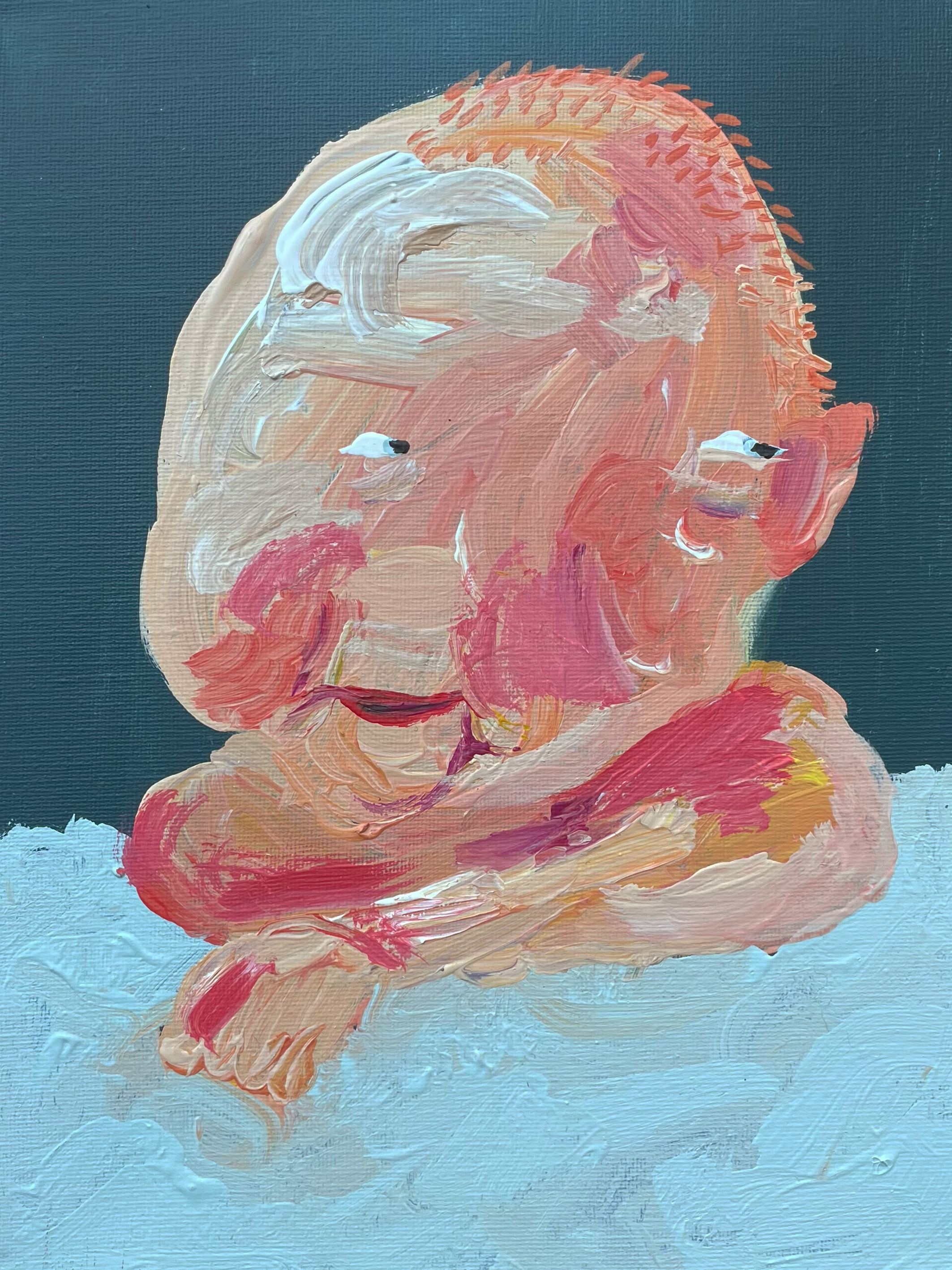 Ugly Portrait Elias_ElisaHuettner.png