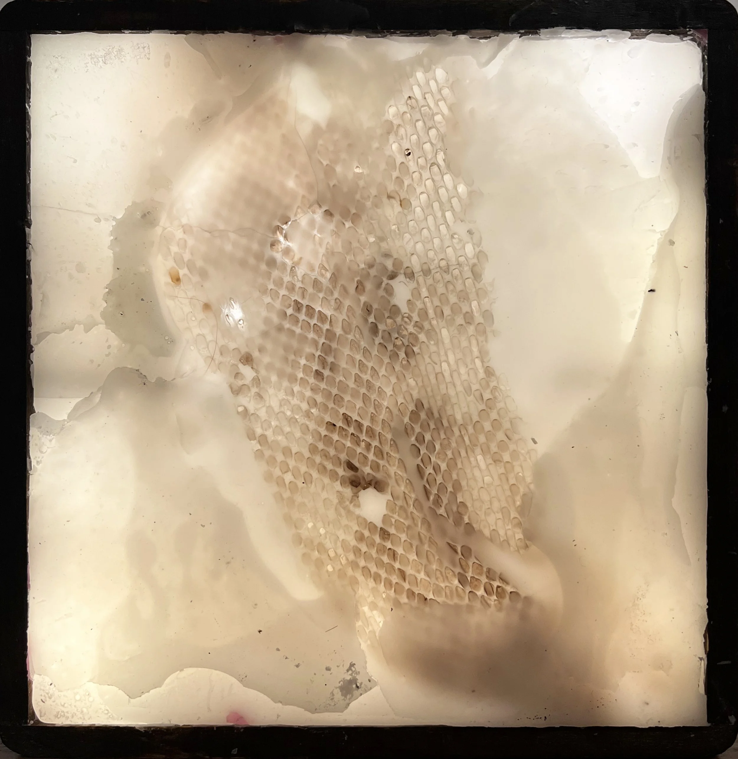 2026 Die Ursuppe