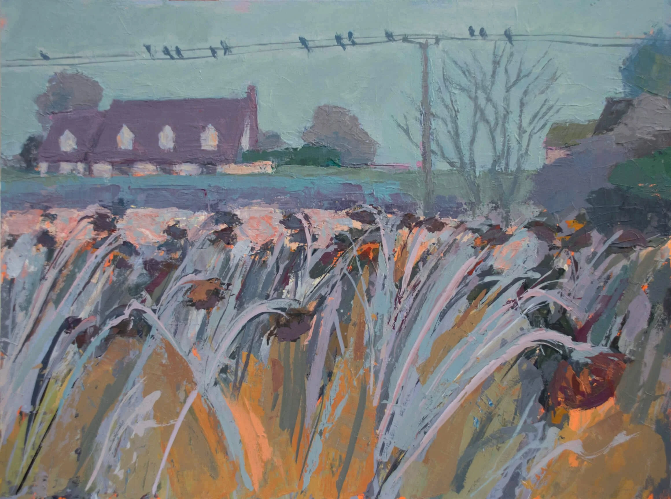 Frosty Sunflower Field