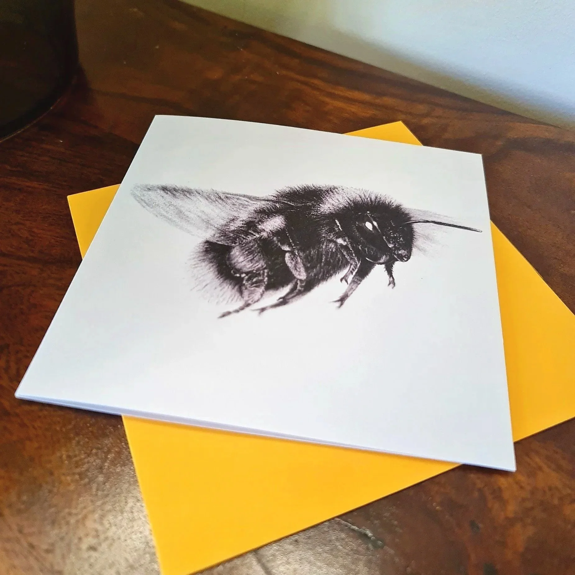 Bumblebee%2B6.jpg