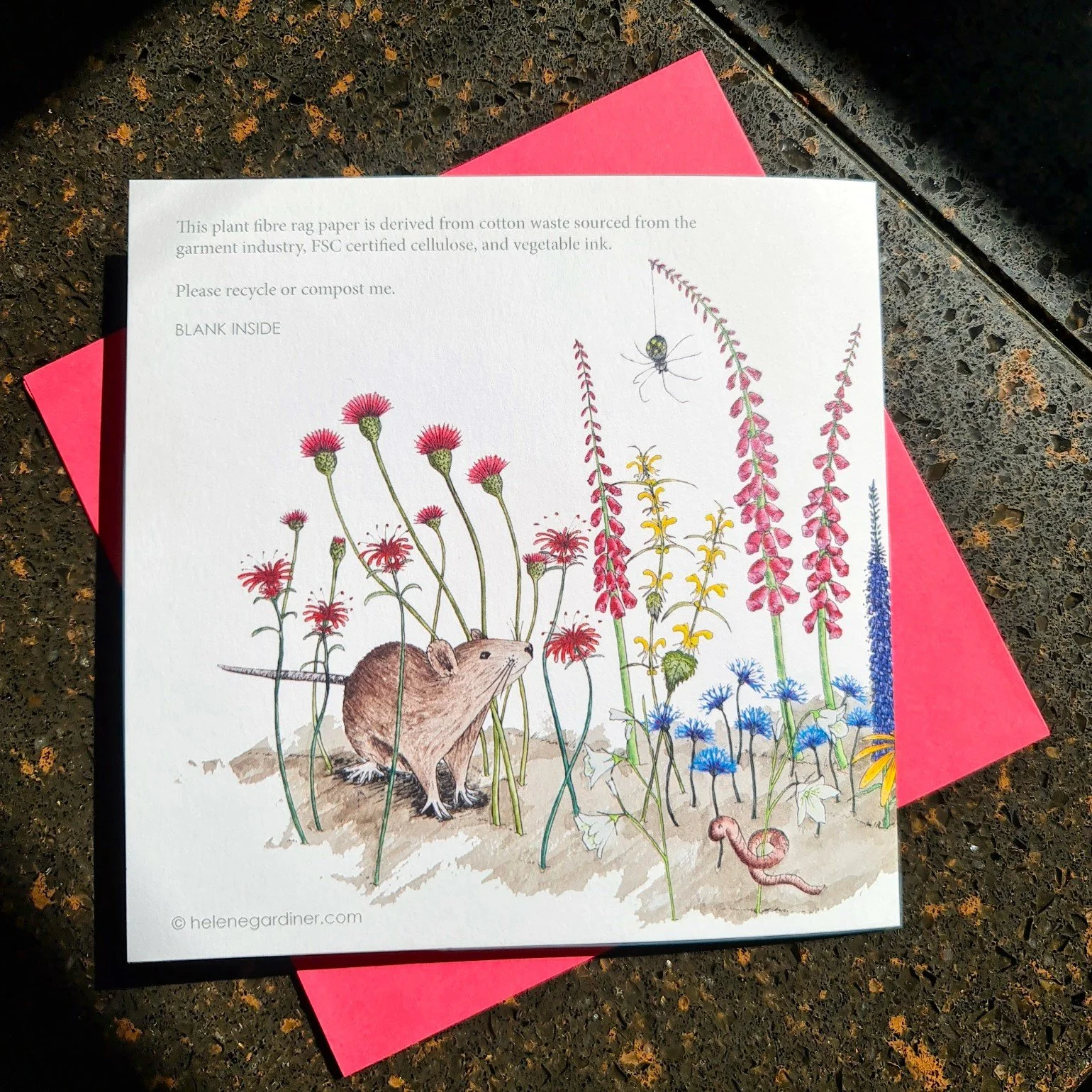cottage-garden-flowers-hedgehog-bee-ant-worm-rat-7.jpg