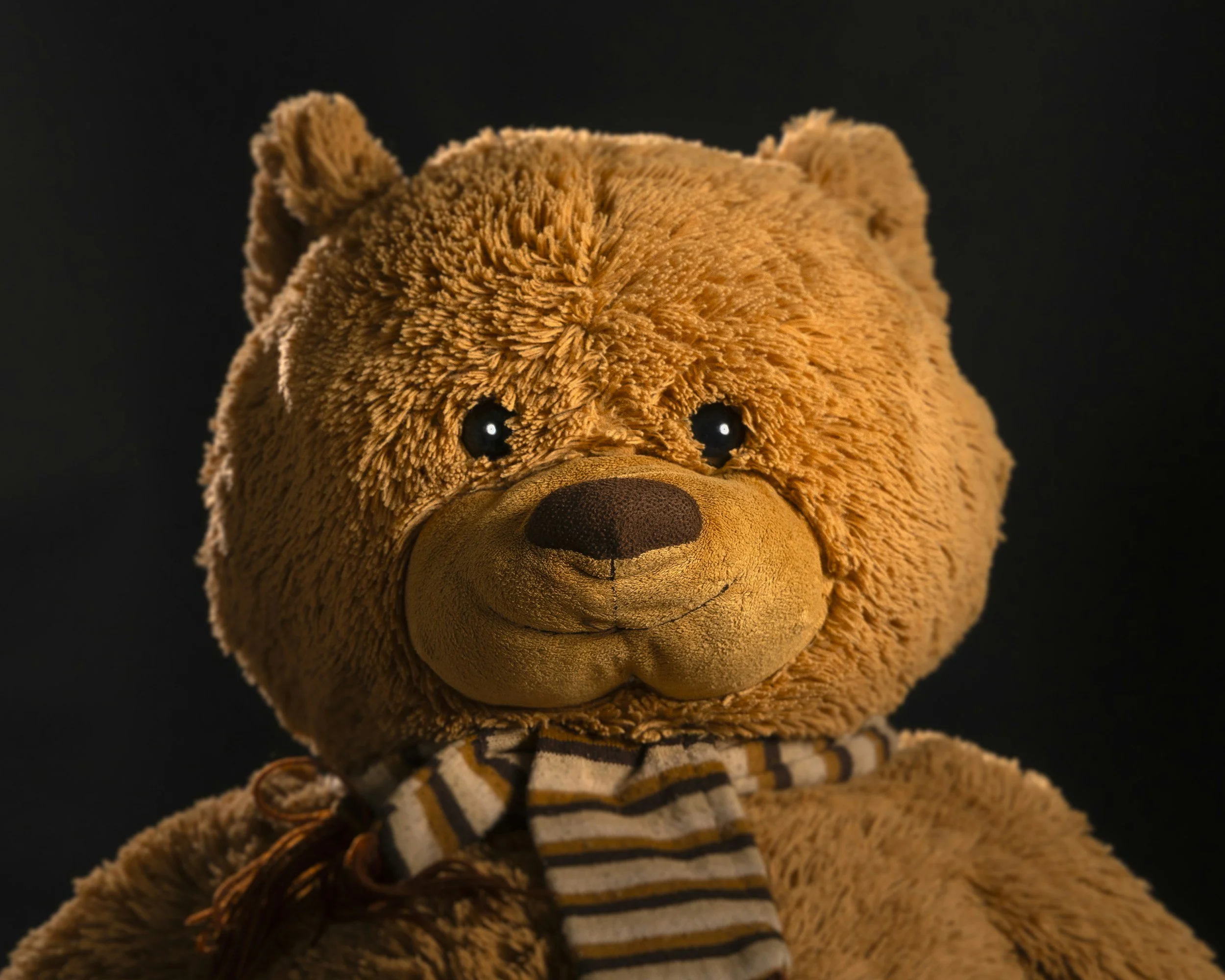 The Lost Bear