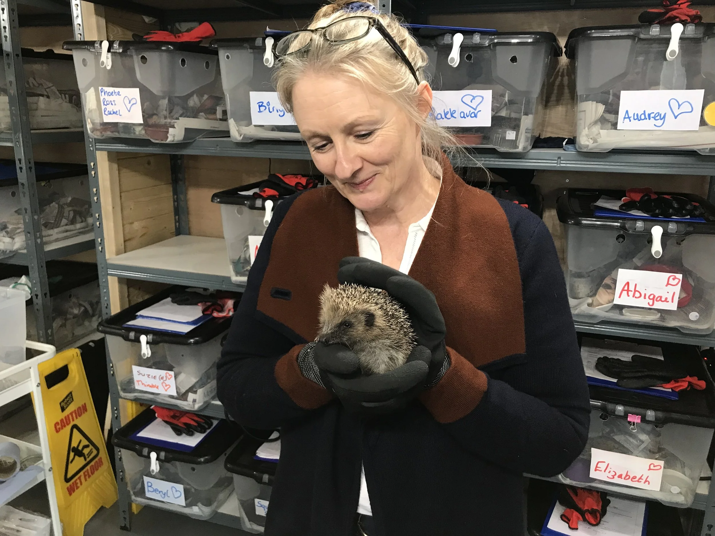 Helene at Emmas Hedgehog Hotel.JPEG