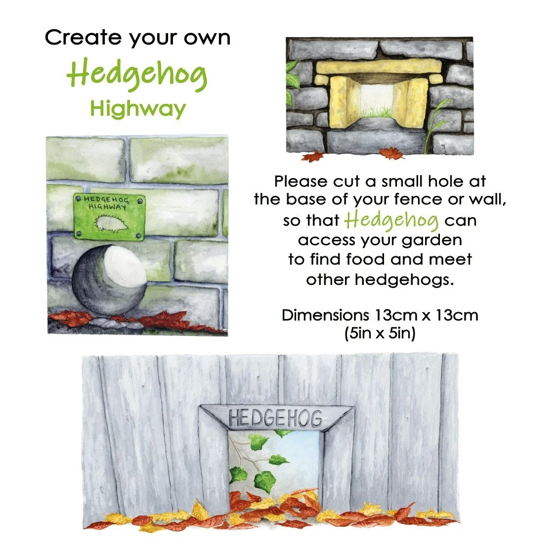 access for hedgehogs with hole in fence or wall